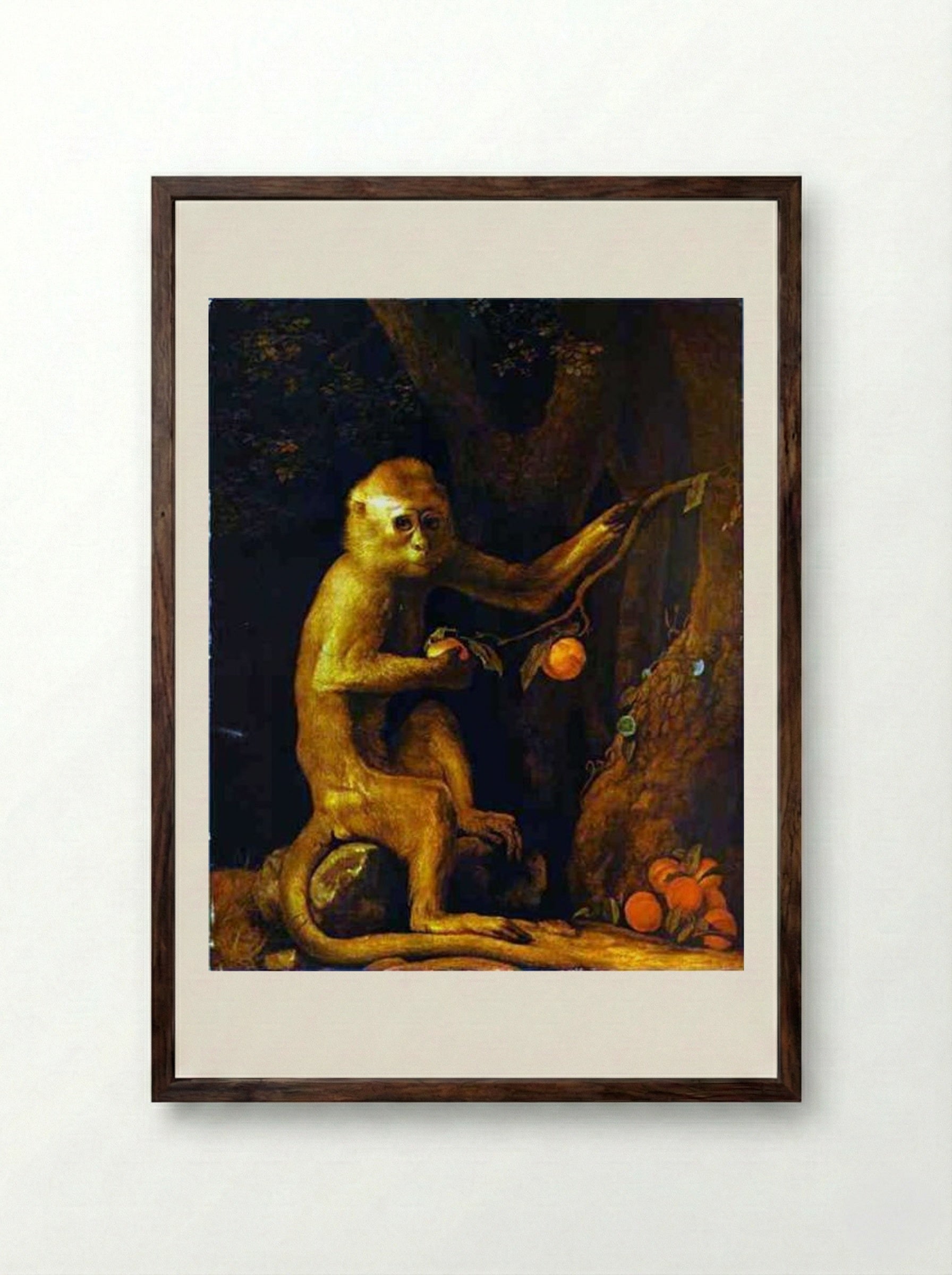 Portrait of a Monkey - George Stubbs - Framed Print Dark Wood