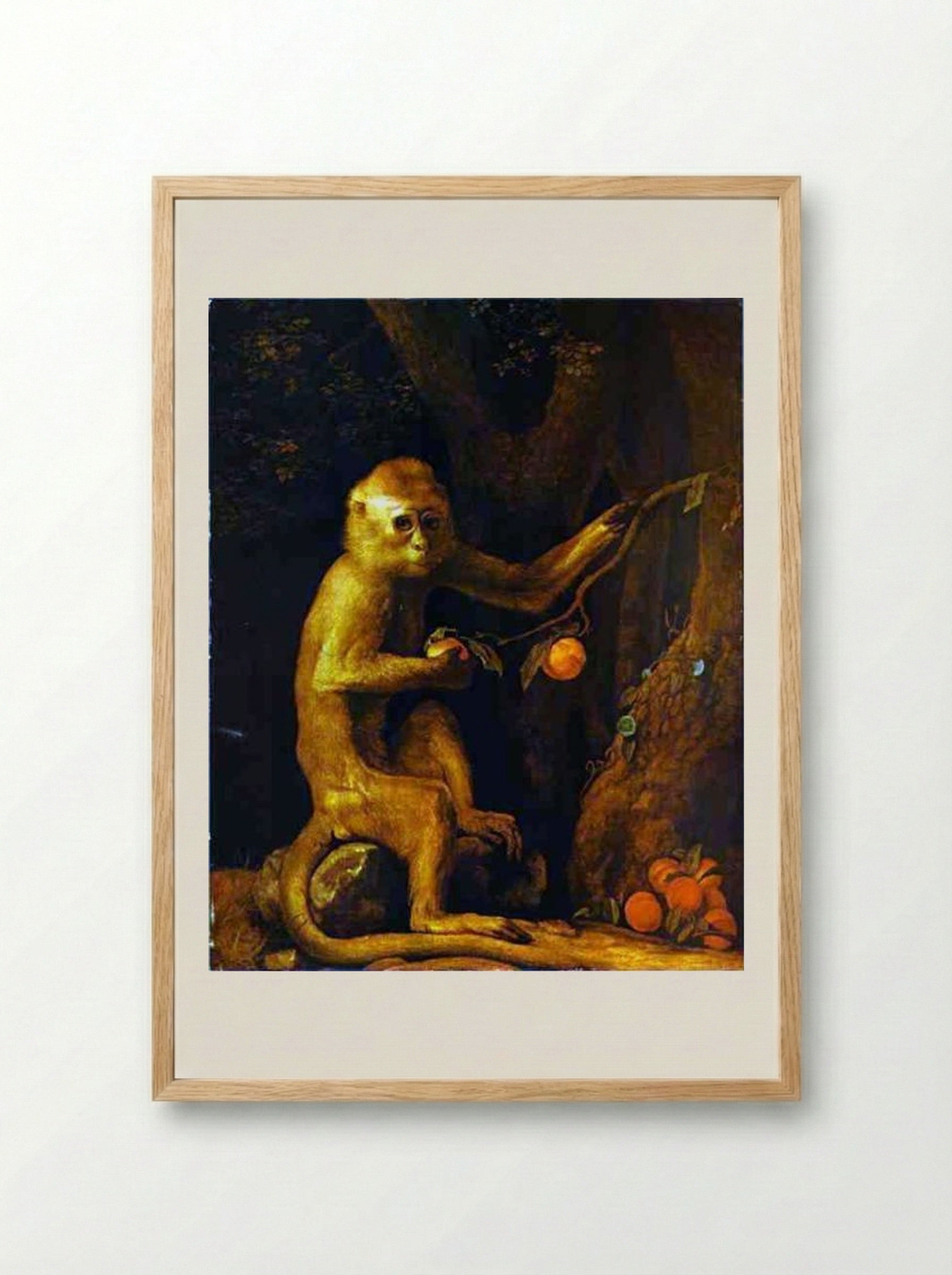 Portrait of a Monkey - George Stubbs - Framed Print Wood