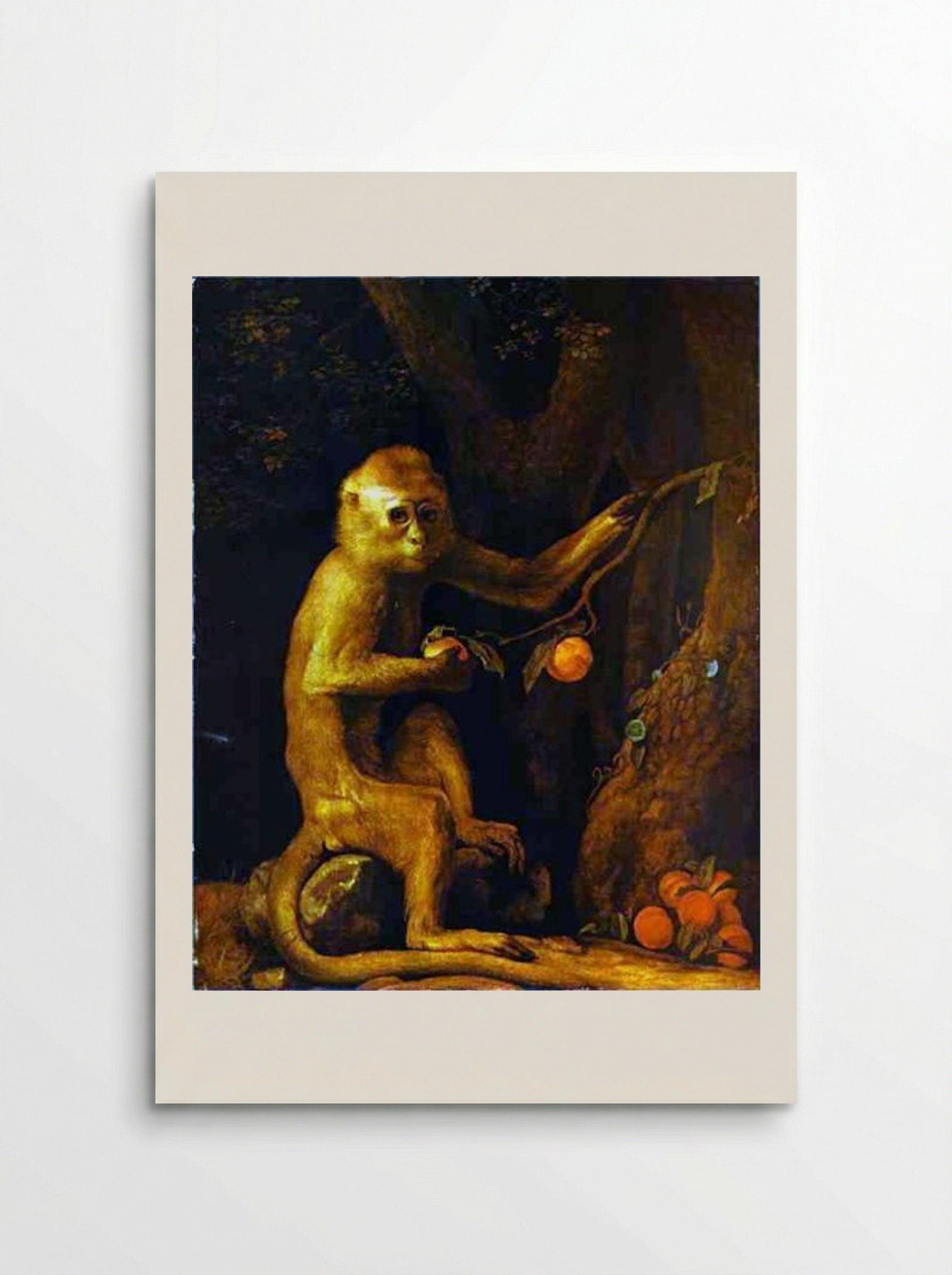 Portrait of a Monkey - George Stubbs - Poster