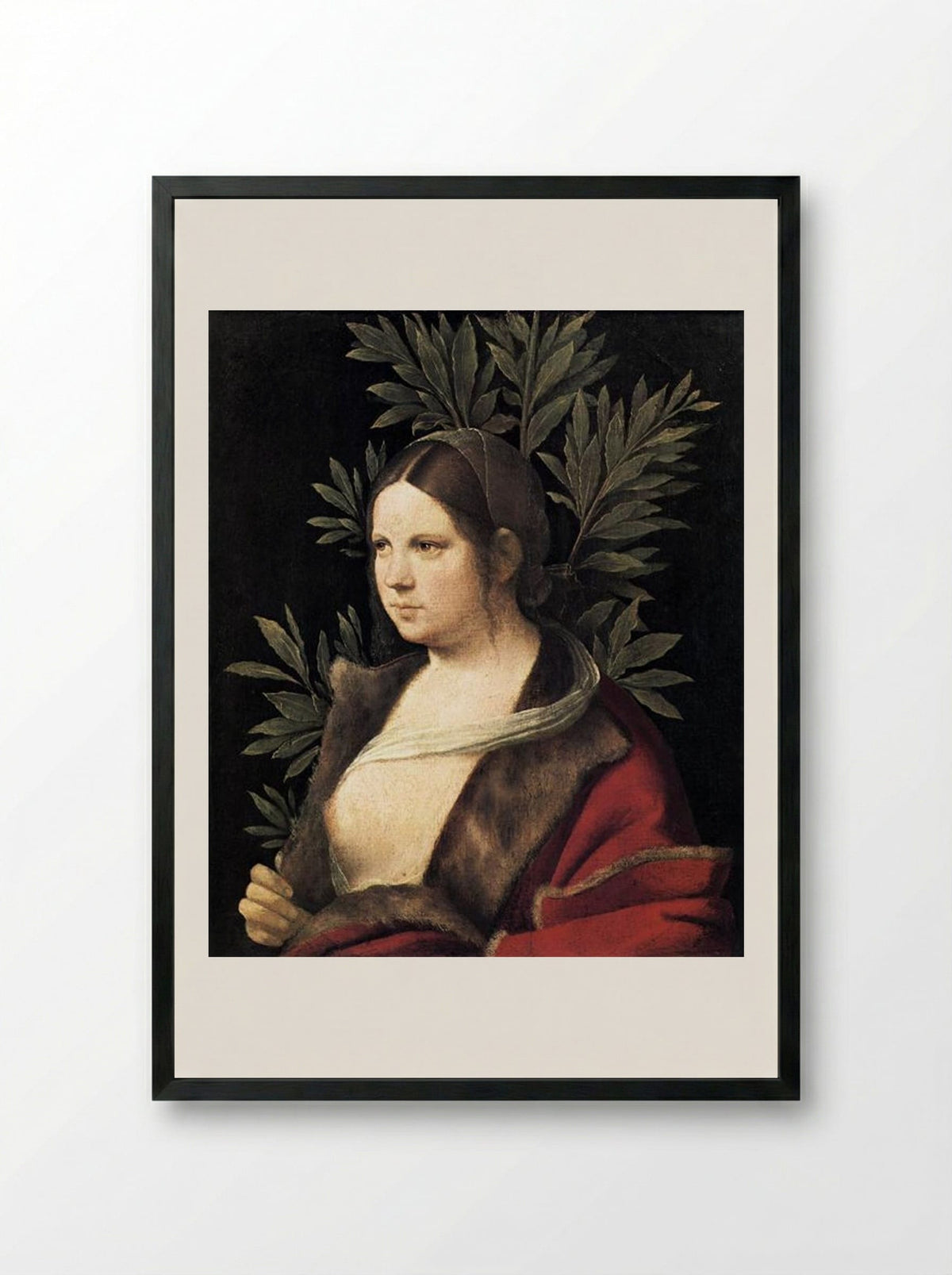 Portrait of a Young Woman (Laura) - Giorgione - Framed Print Black