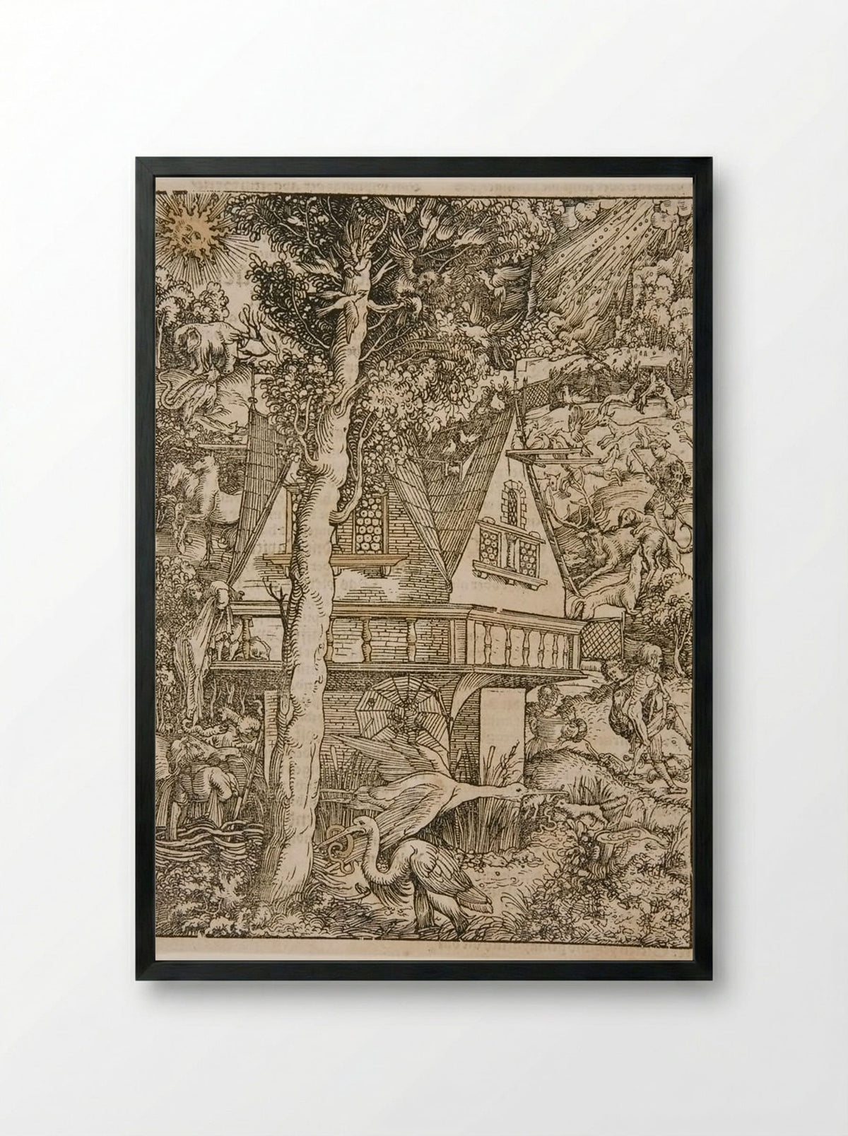 Predators and Prey among All Creatures Large and Small - Hans Weiditz - Framed Print Black