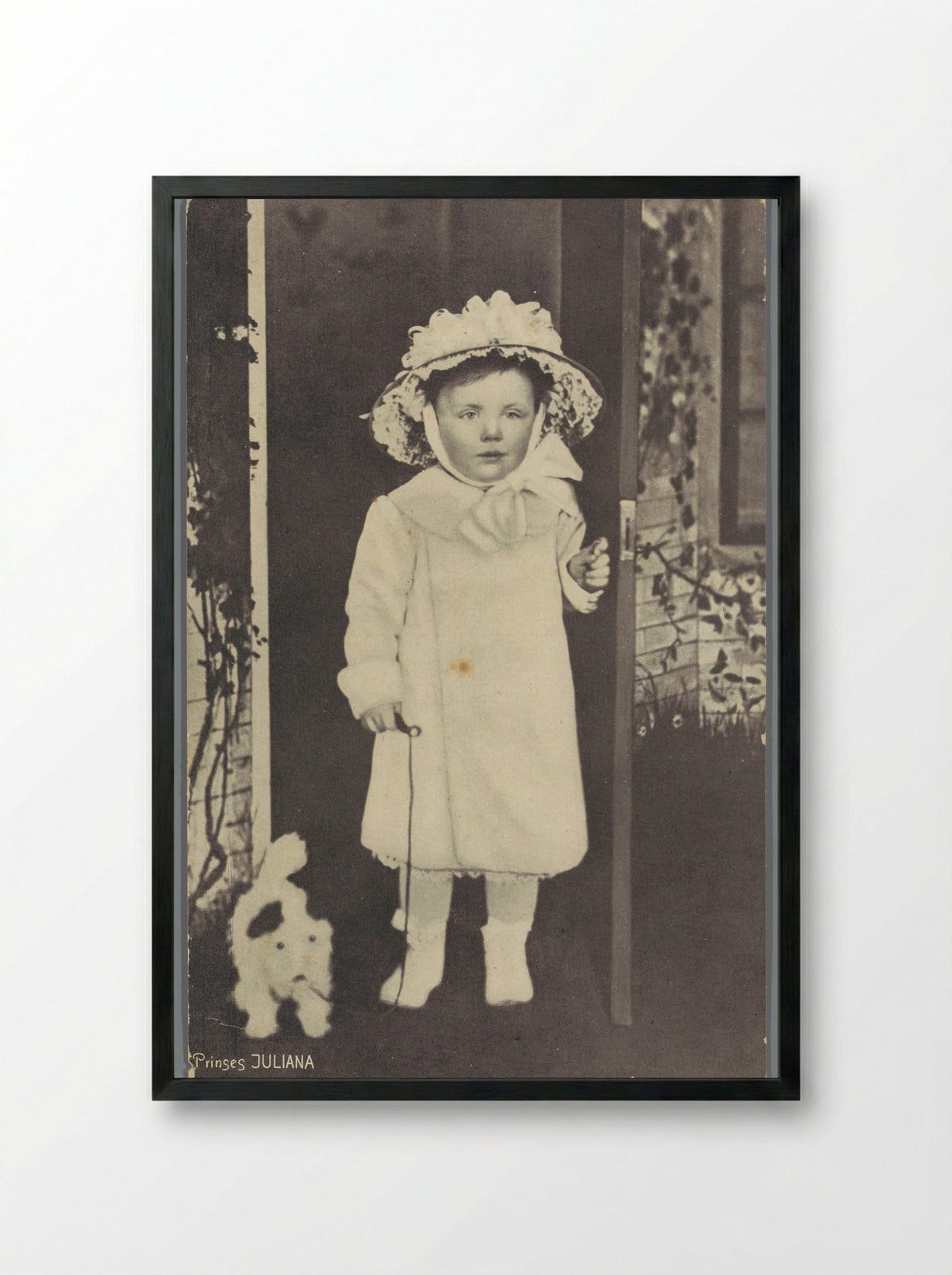 Prinses Juliana - Guy de Coral & Co. - Framed Print Black