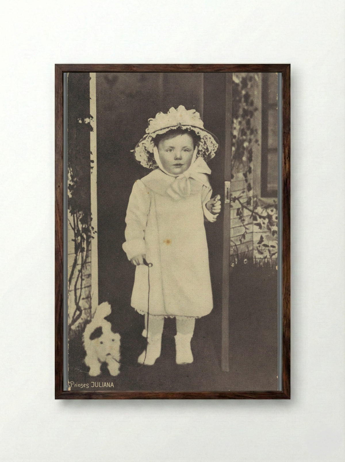 Prinses Juliana - Guy de Coral & Co. - Framed Print Dark Wood