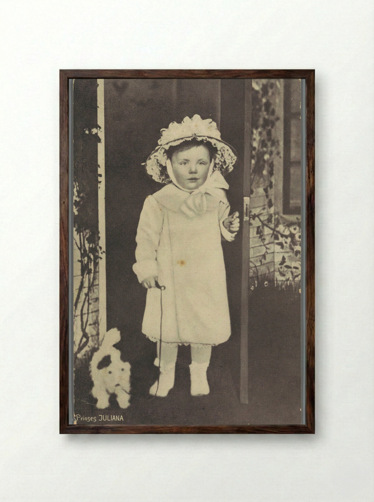 Prinses Juliana - Guy de Coral & Co. - Framed Print Dark Wood