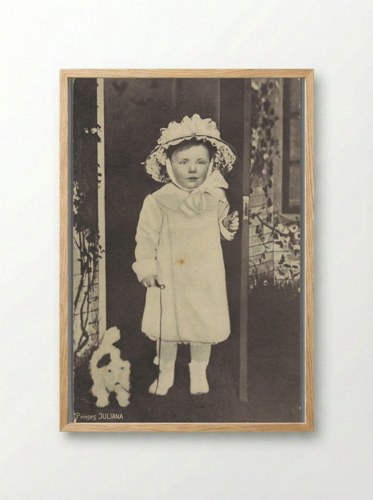 Prinses Juliana - Guy de Coral & Co. - Framed Print Wood