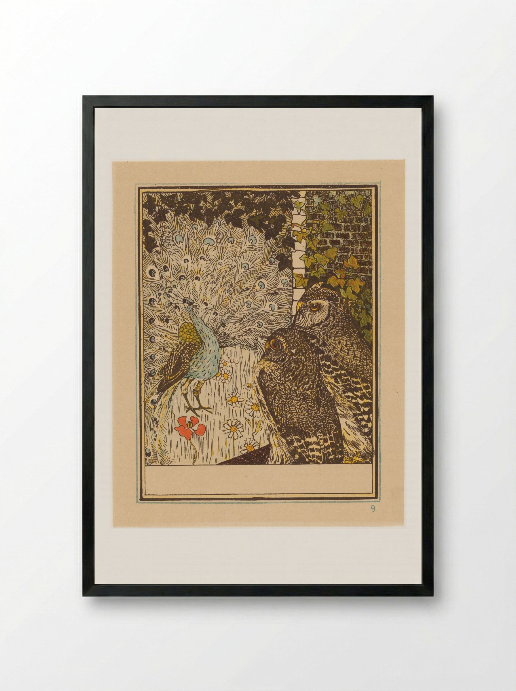 Pronkende pauw en twee uilen - Theo van Hoytema - Framed Print Black