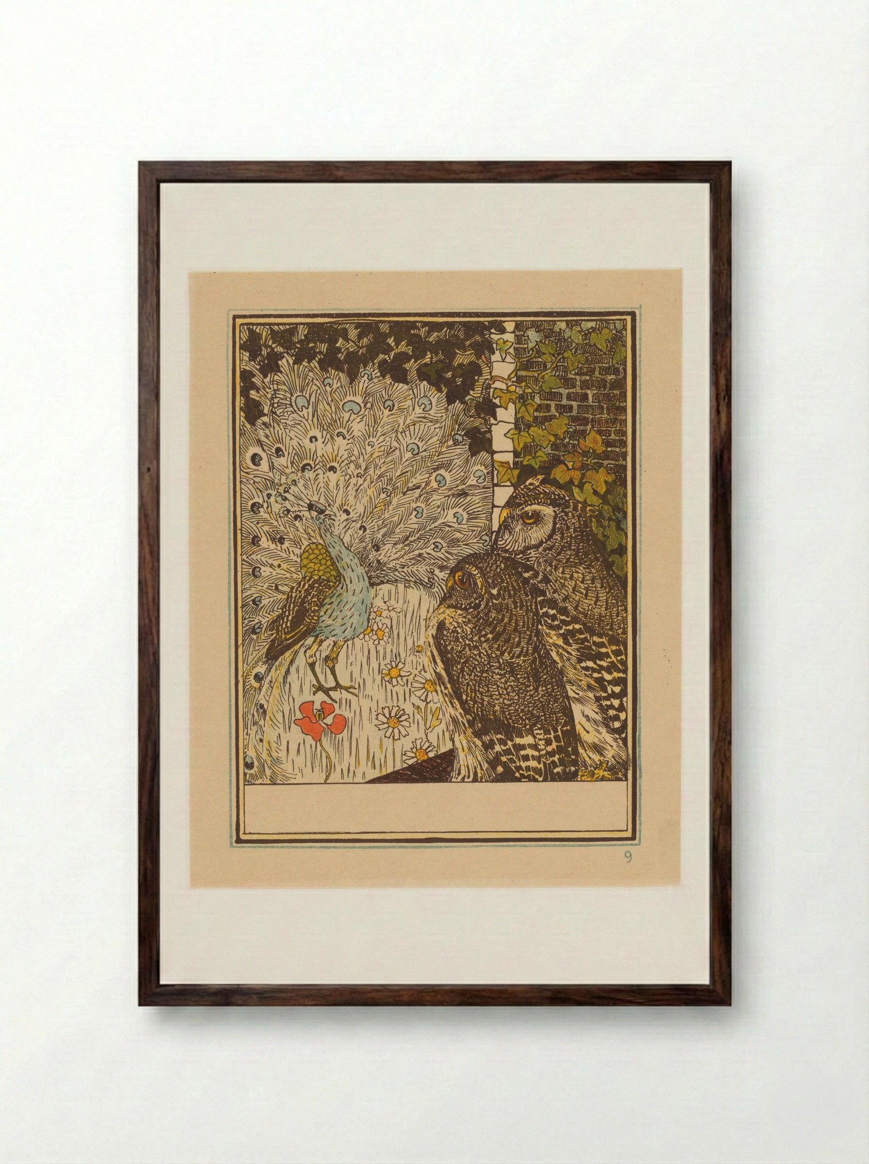 Pronkende pauw en twee uilen - Theo van Hoytema - Framed Print Dark Wood