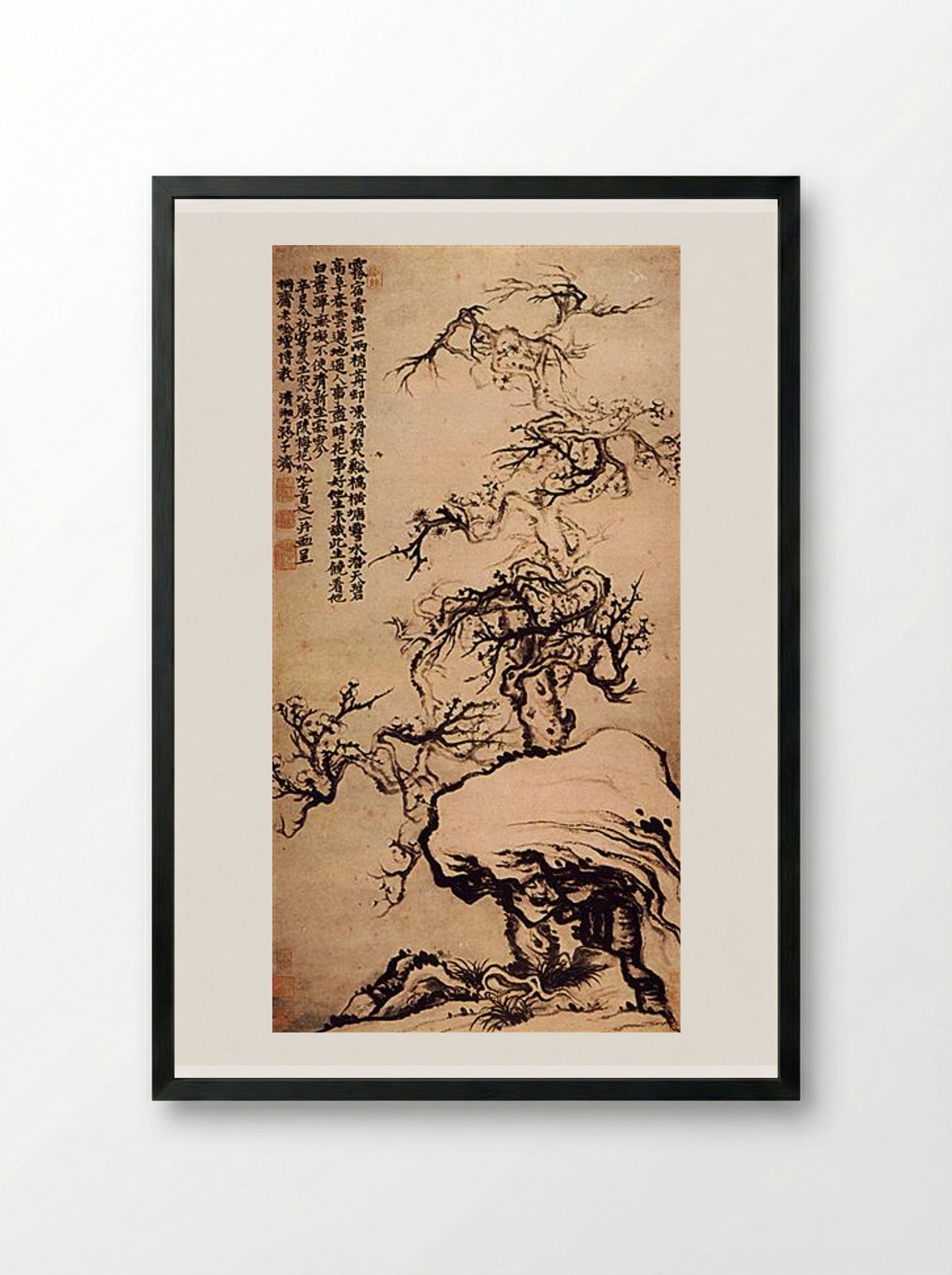 Prunus among the Rocks - Shitao - Framed Print Black
