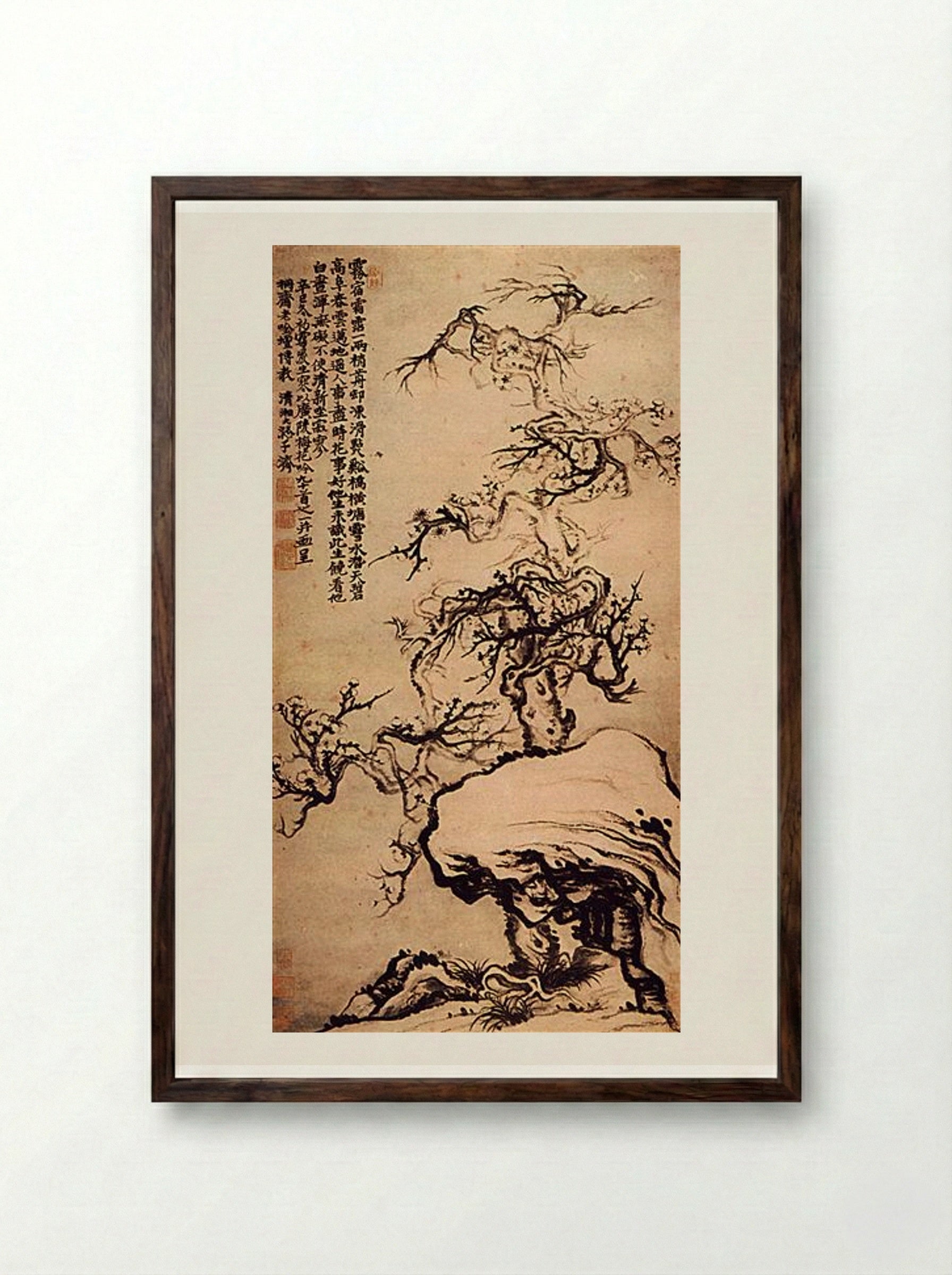 Prunus among the Rocks - Shitao - Framed Print Dark Wood