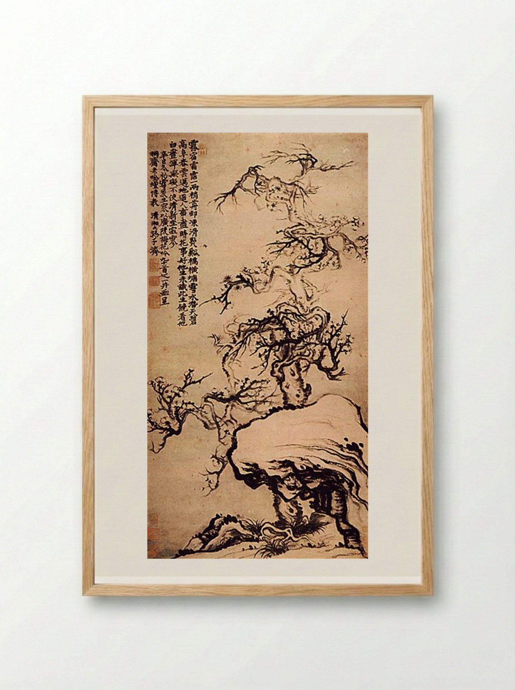 Prunus among the Rocks - Shitao - Framed Print Wood