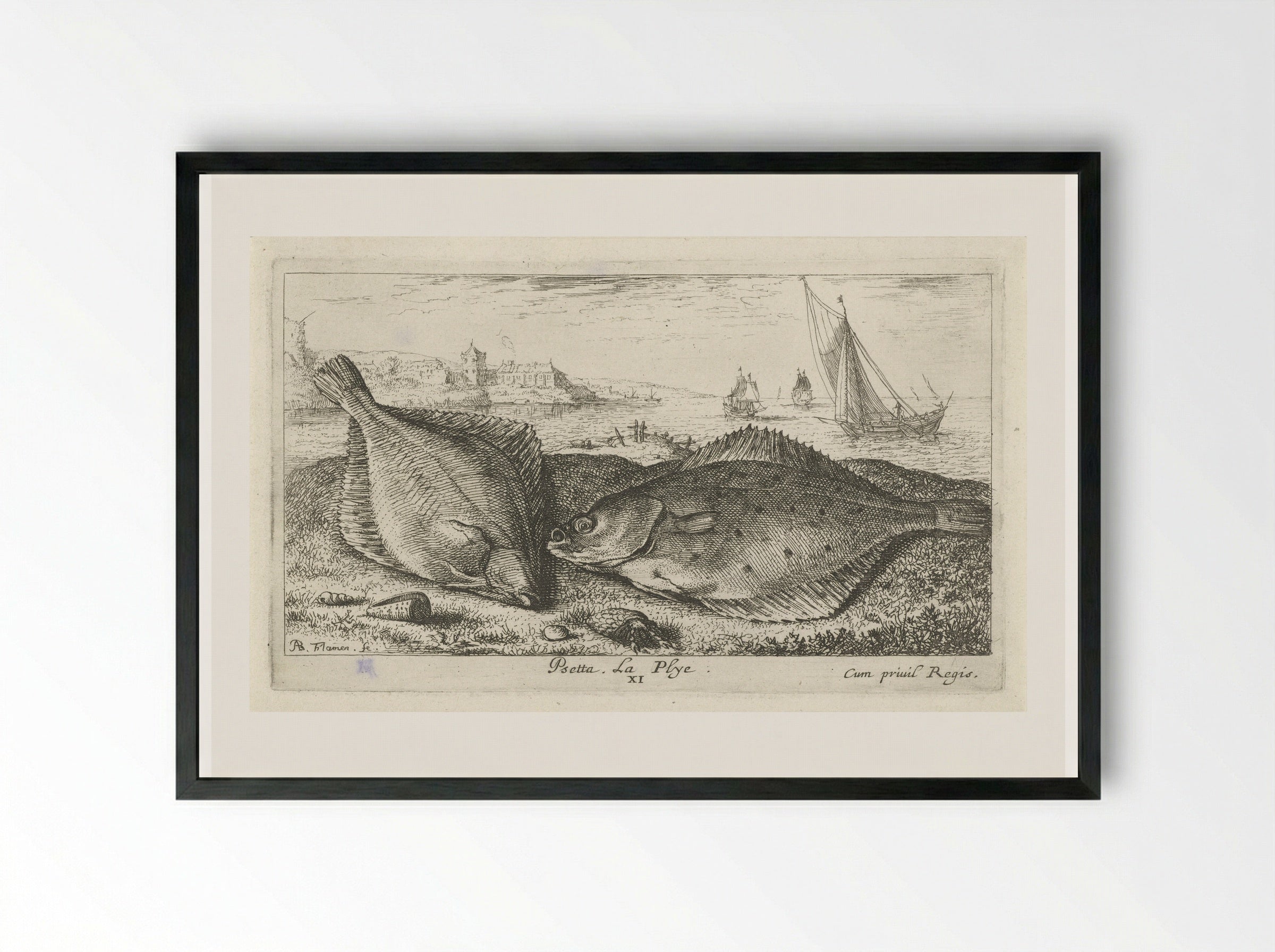 Psetta. La Plye - Albert Flamen - Framed Print Black