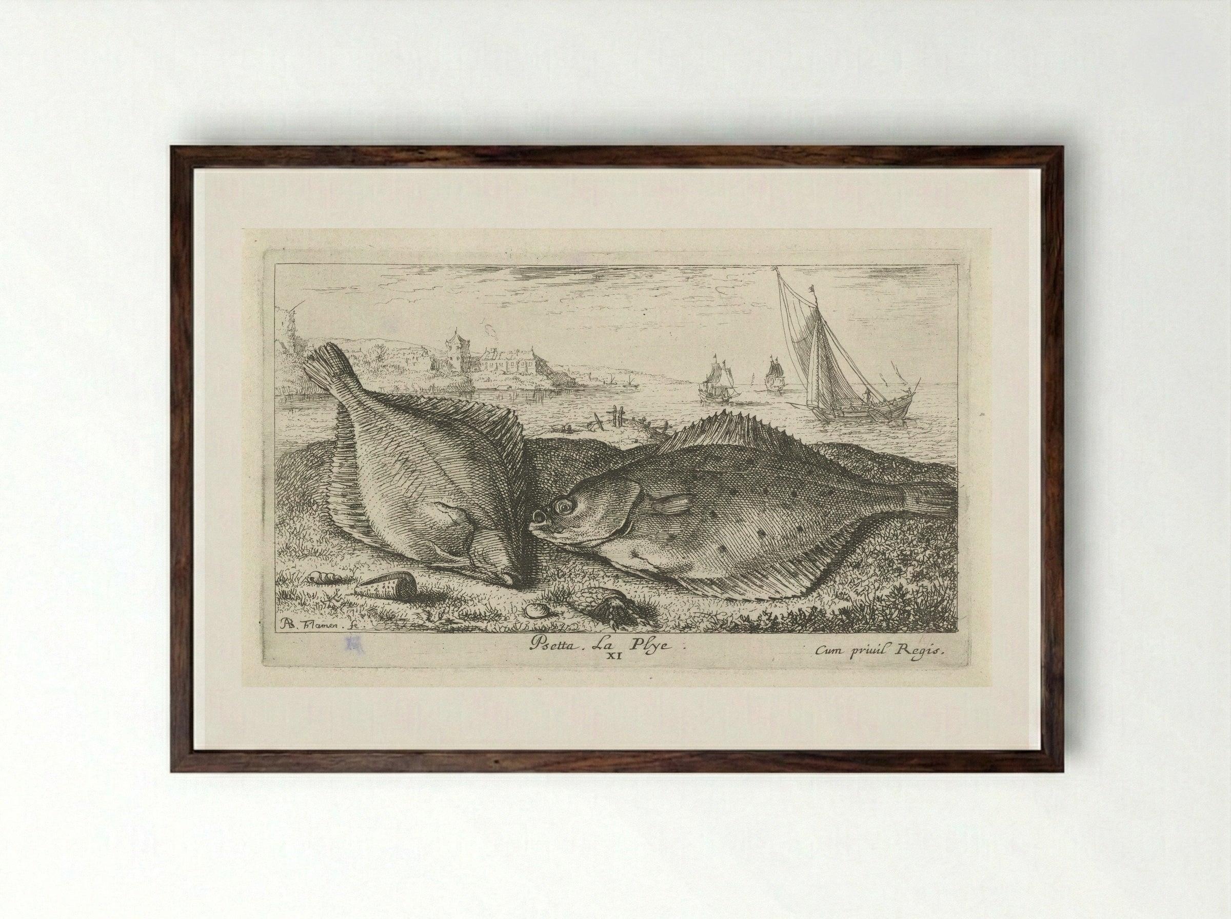 Psetta. La Plye - Albert Flamen - Framed Print Dark Wood