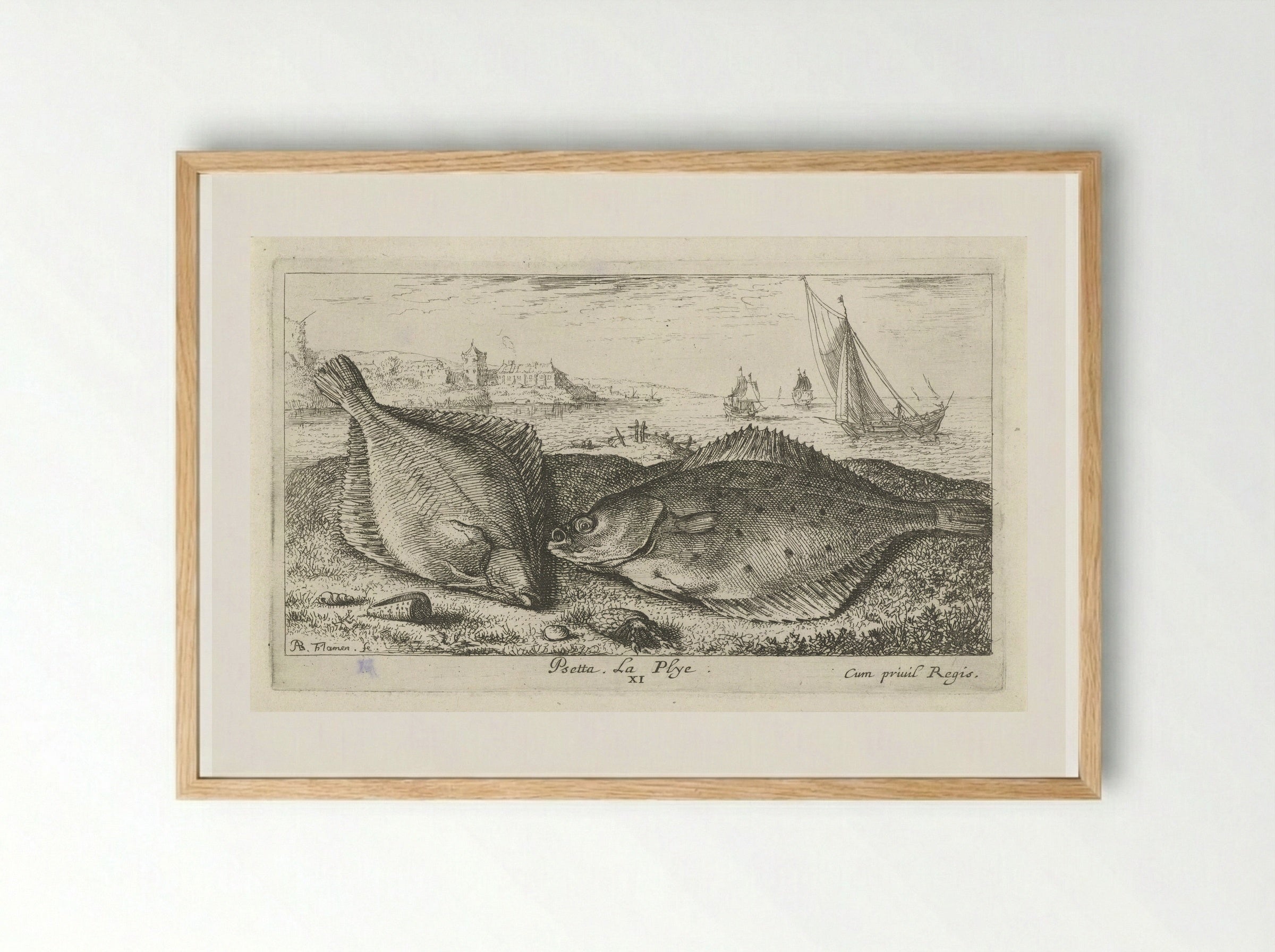 Psetta. La Plye - Albert Flamen - Framed Print Wood