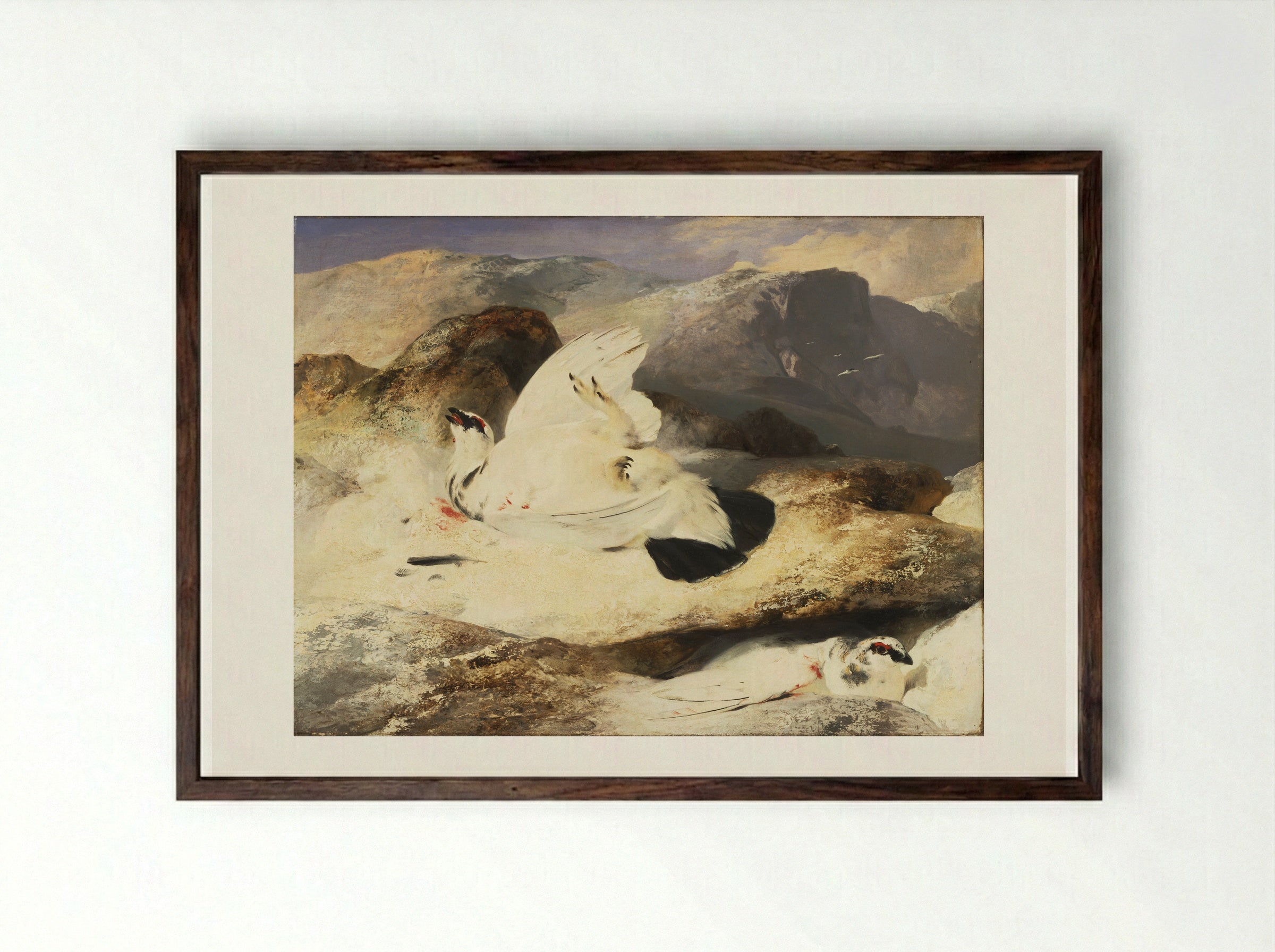 Ptarmigan - Edwin Henry Landseer - Framed Print Dark Wood