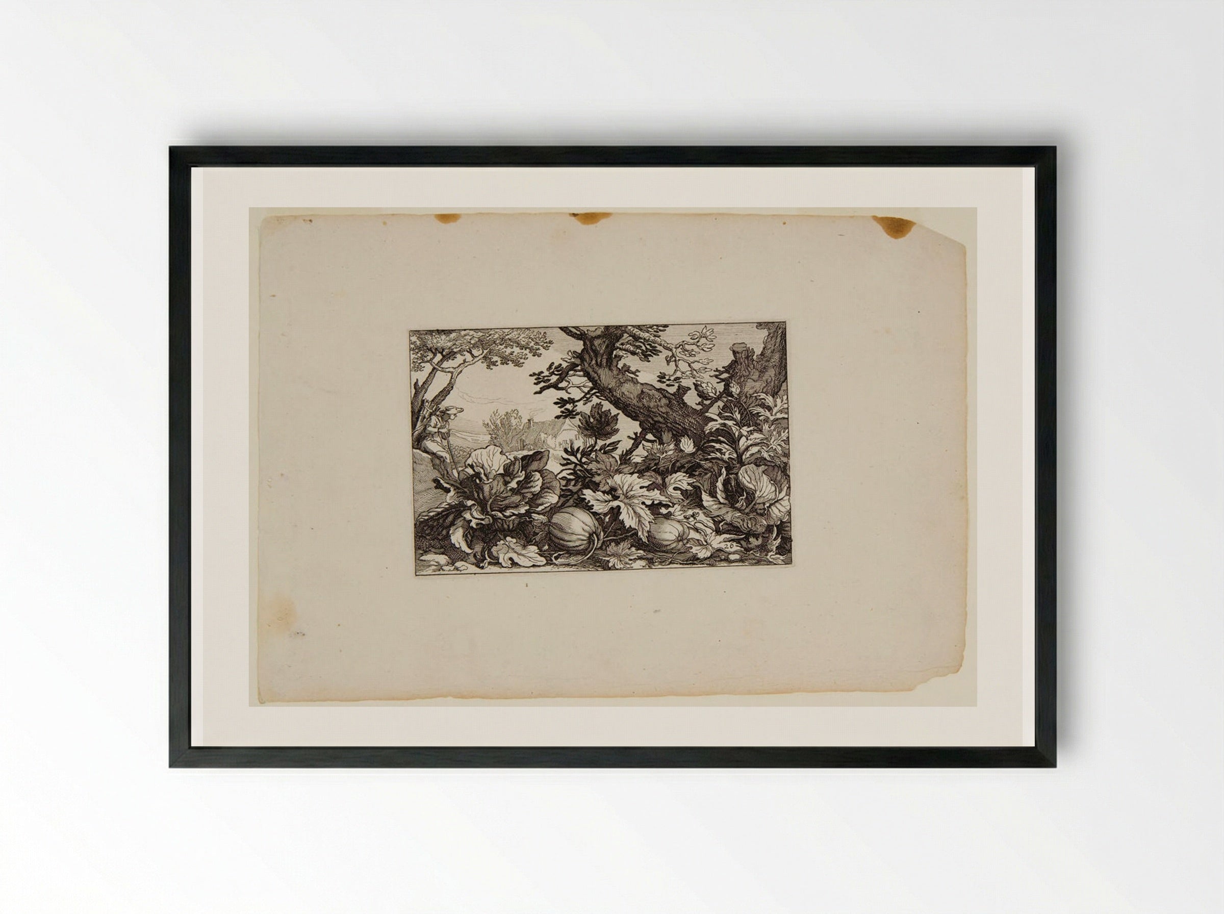 Pumpkins - Claes Jansz. Visscher - Framed Print Black