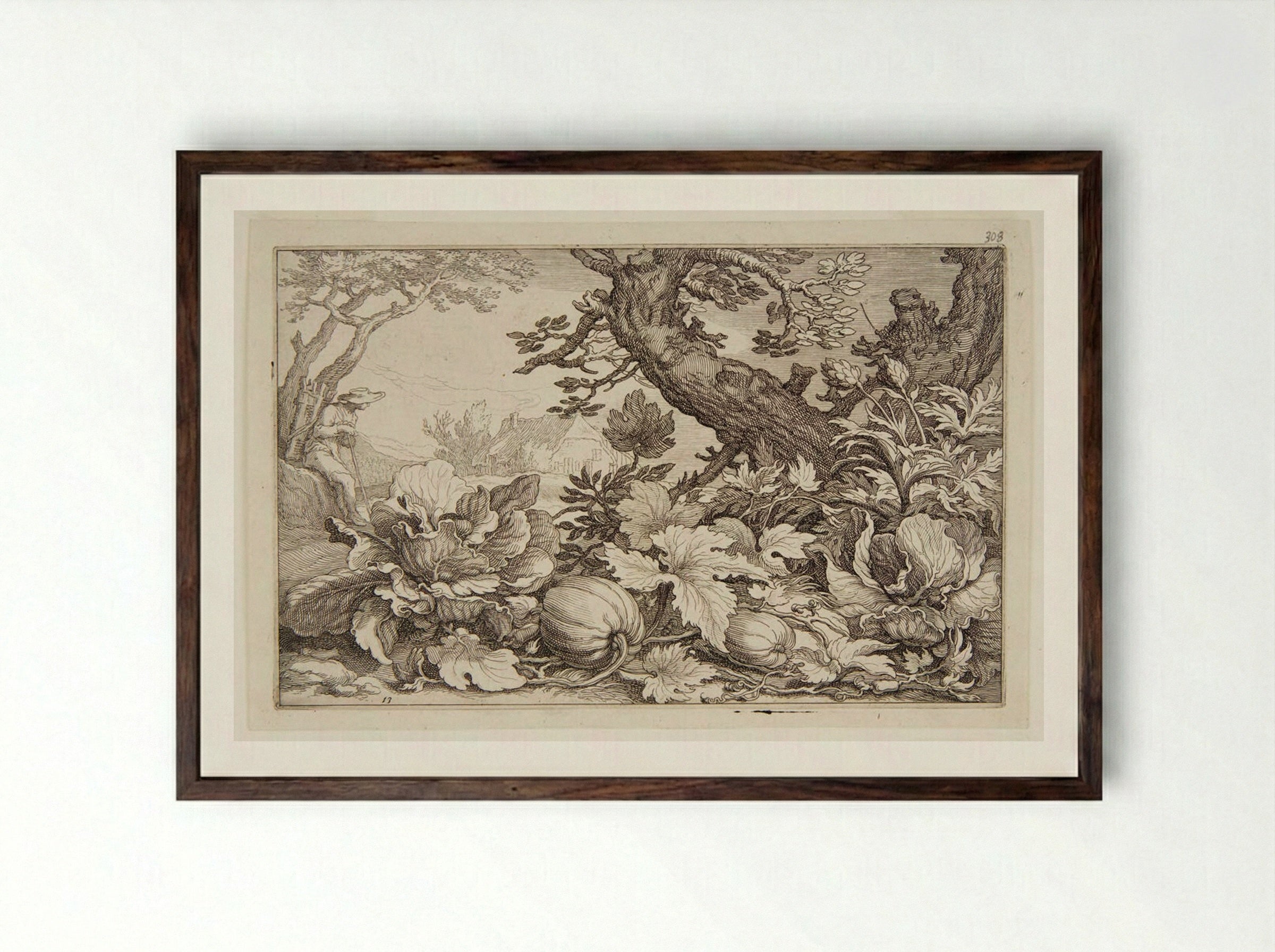 Pumpkins - Boetius Adamsz. Bolswert - Framed Print Dark Wood