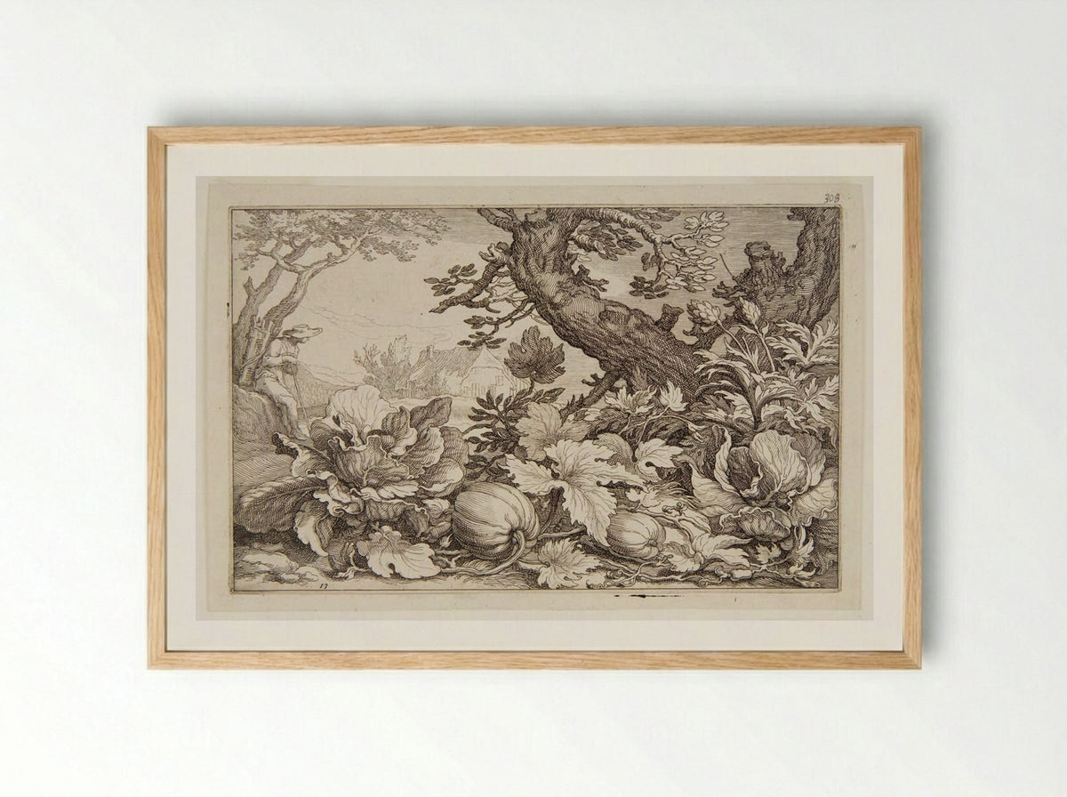 Pumpkins - Boetius Adamsz. Bolswert - Framed Print Wood