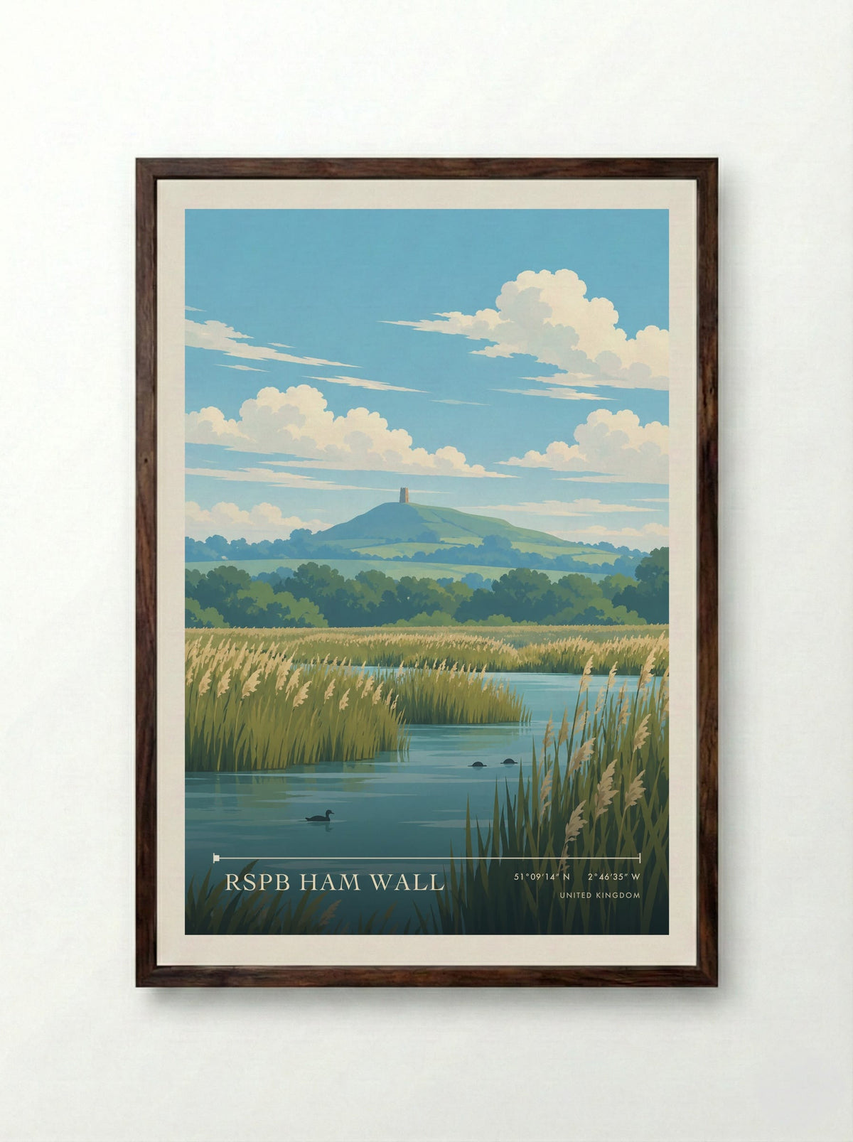 RSPB Ham Wall | Travel Poster - Framed Print Dark Wood