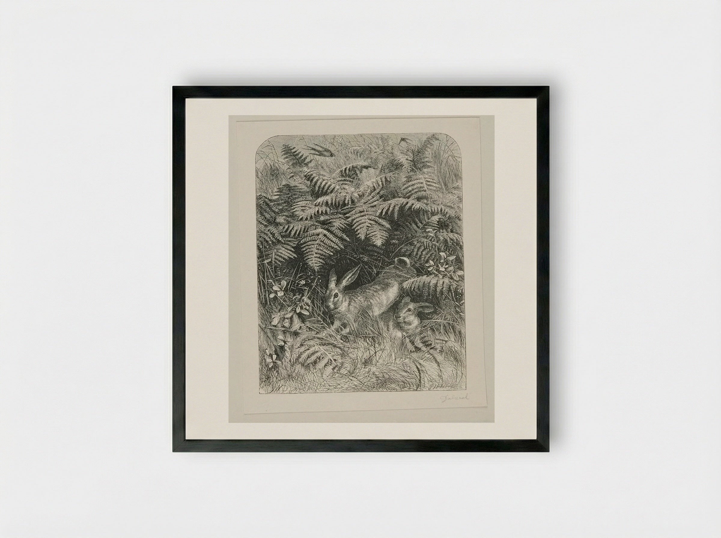 Rabbits - Edward Dalziel - Framed Print Black
