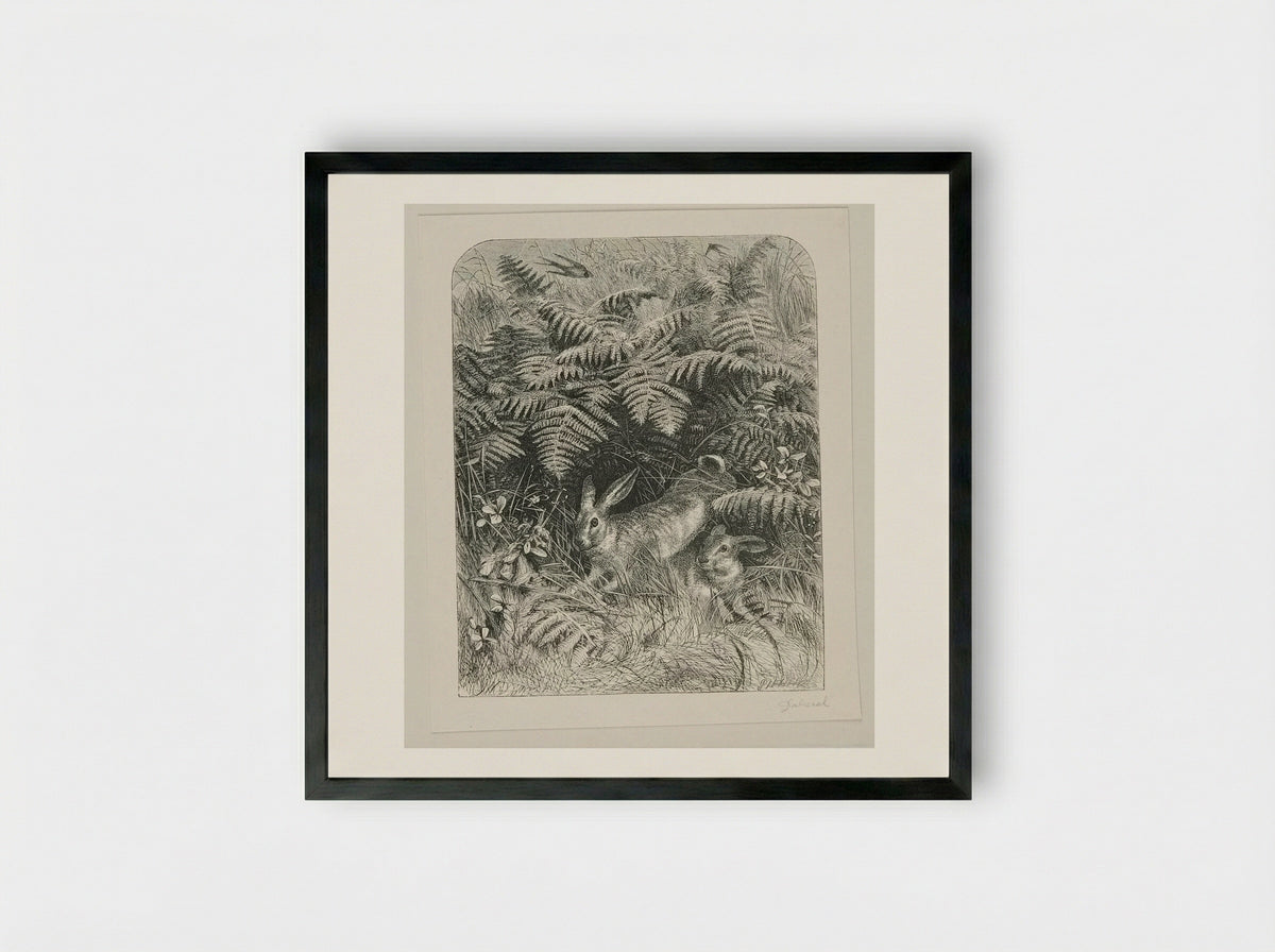 Rabbits - Edward Dalziel - Framed Print Black