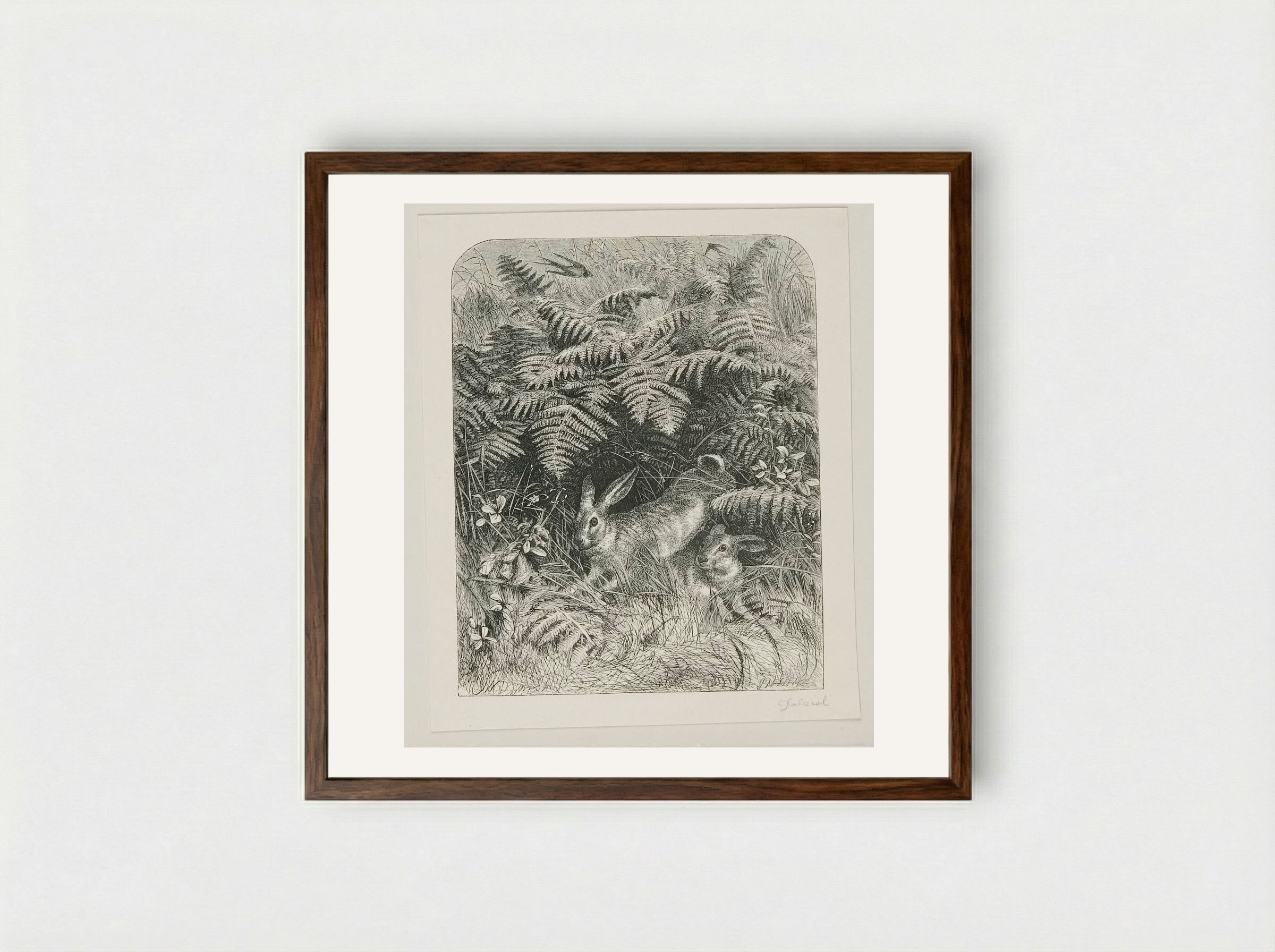 Rabbits - Edward Dalziel - Framed Print Dark Wood