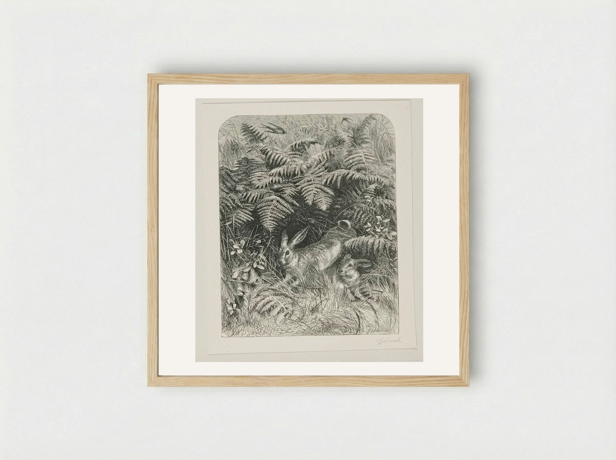 Rabbits - Edward Dalziel - Framed Print Wood