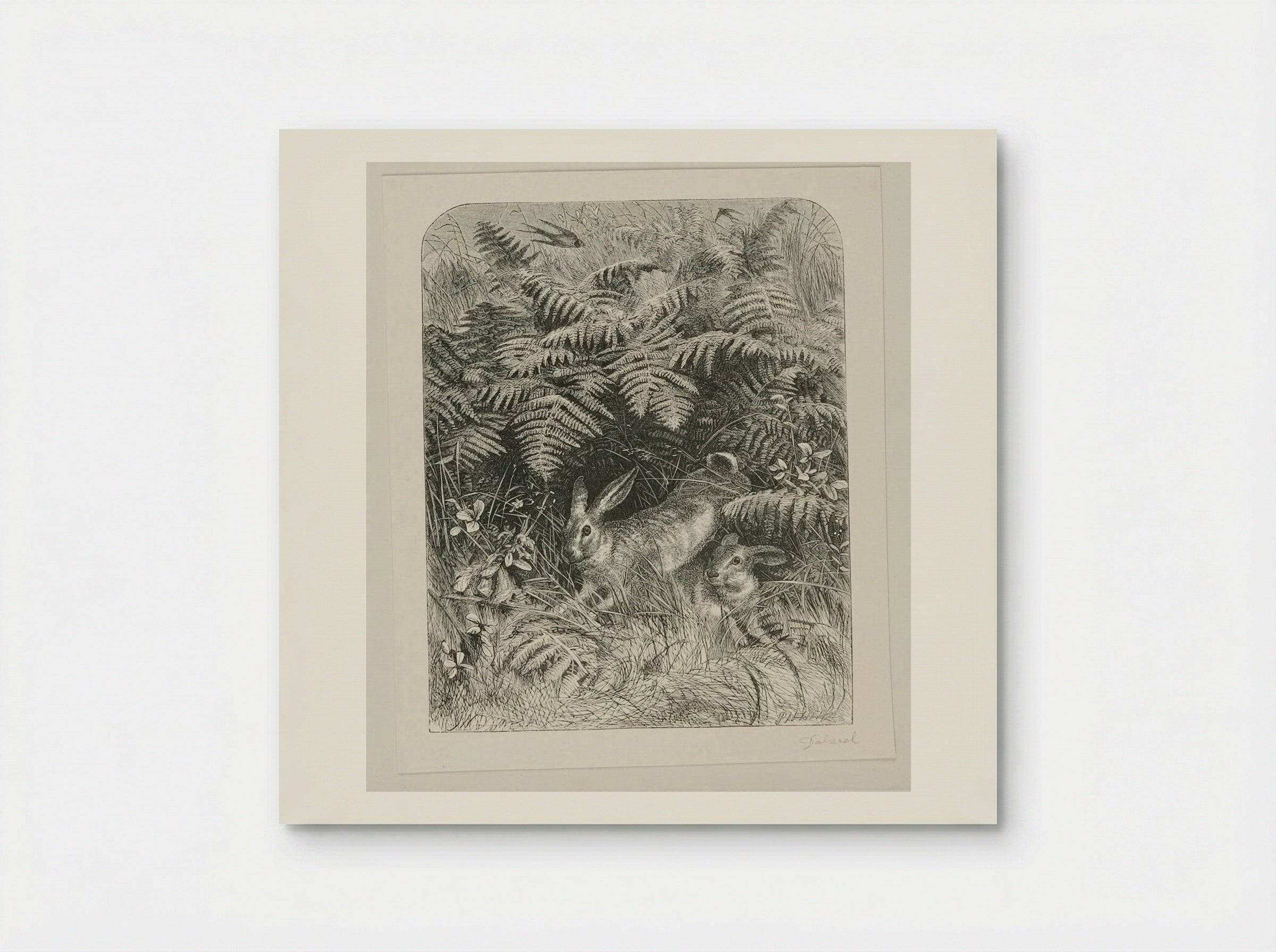 Rabbits - Edward Dalziel - Poster
