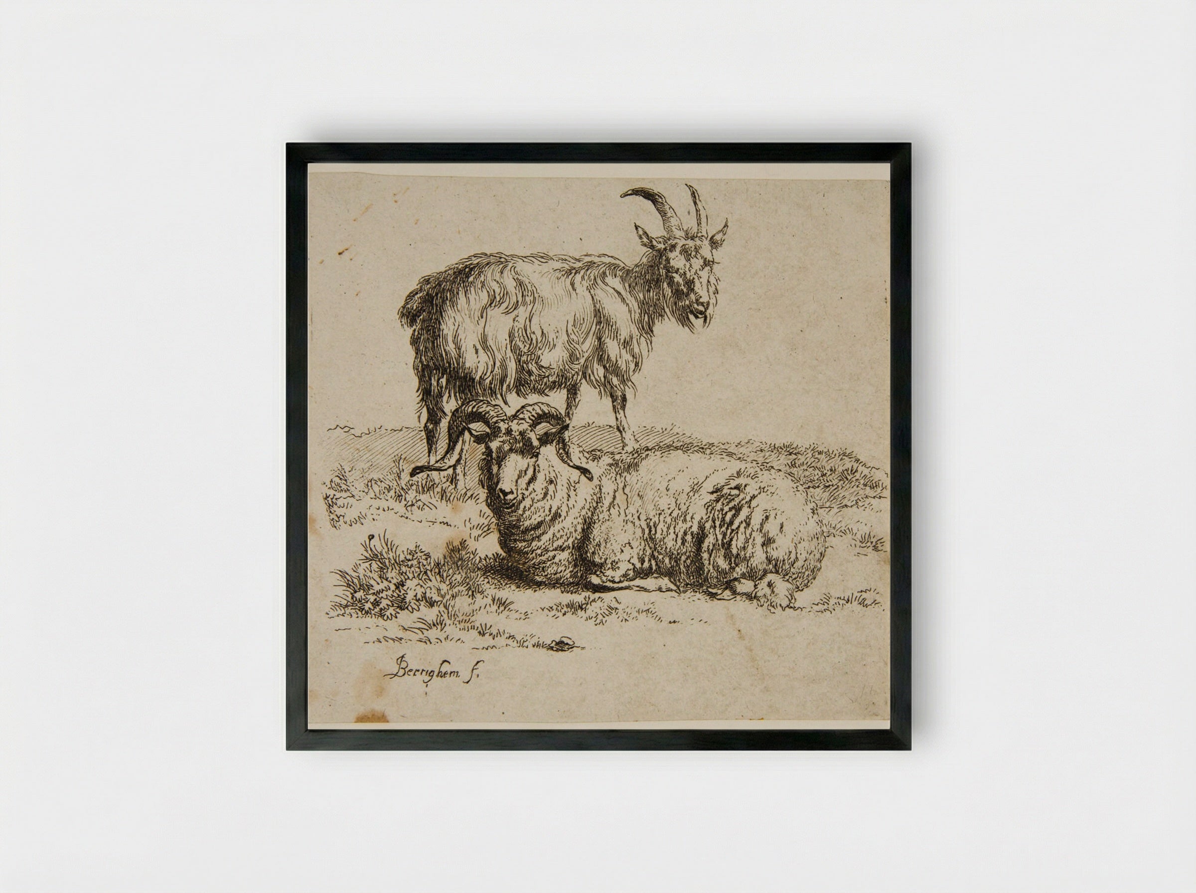 Ram and Goat - Nicolaes Berchem - Framed Print Black