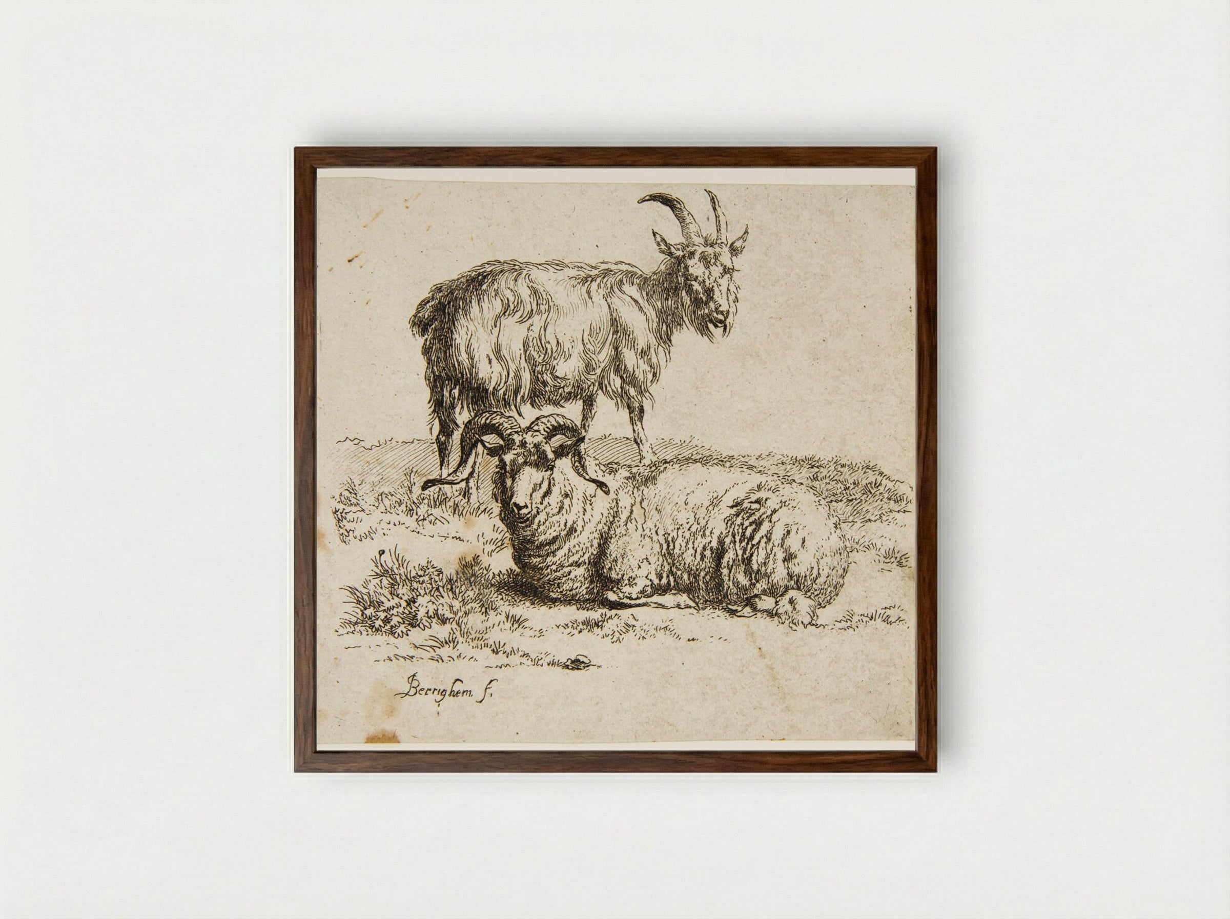 Ram and Goat - Nicolaes Berchem - Framed Print Dark Wood