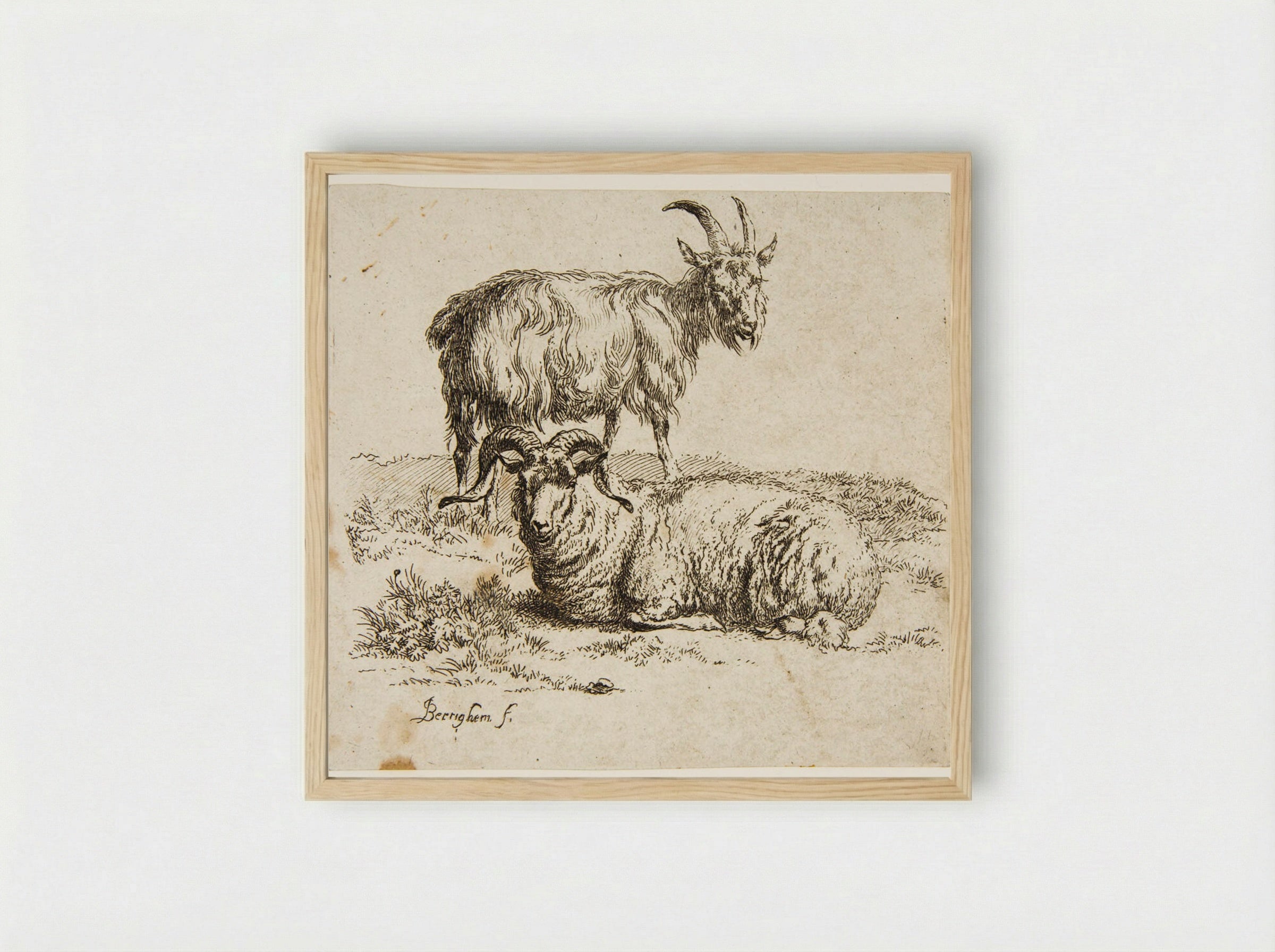 Ram and Goat - Nicolaes Berchem - Framed Print Wood