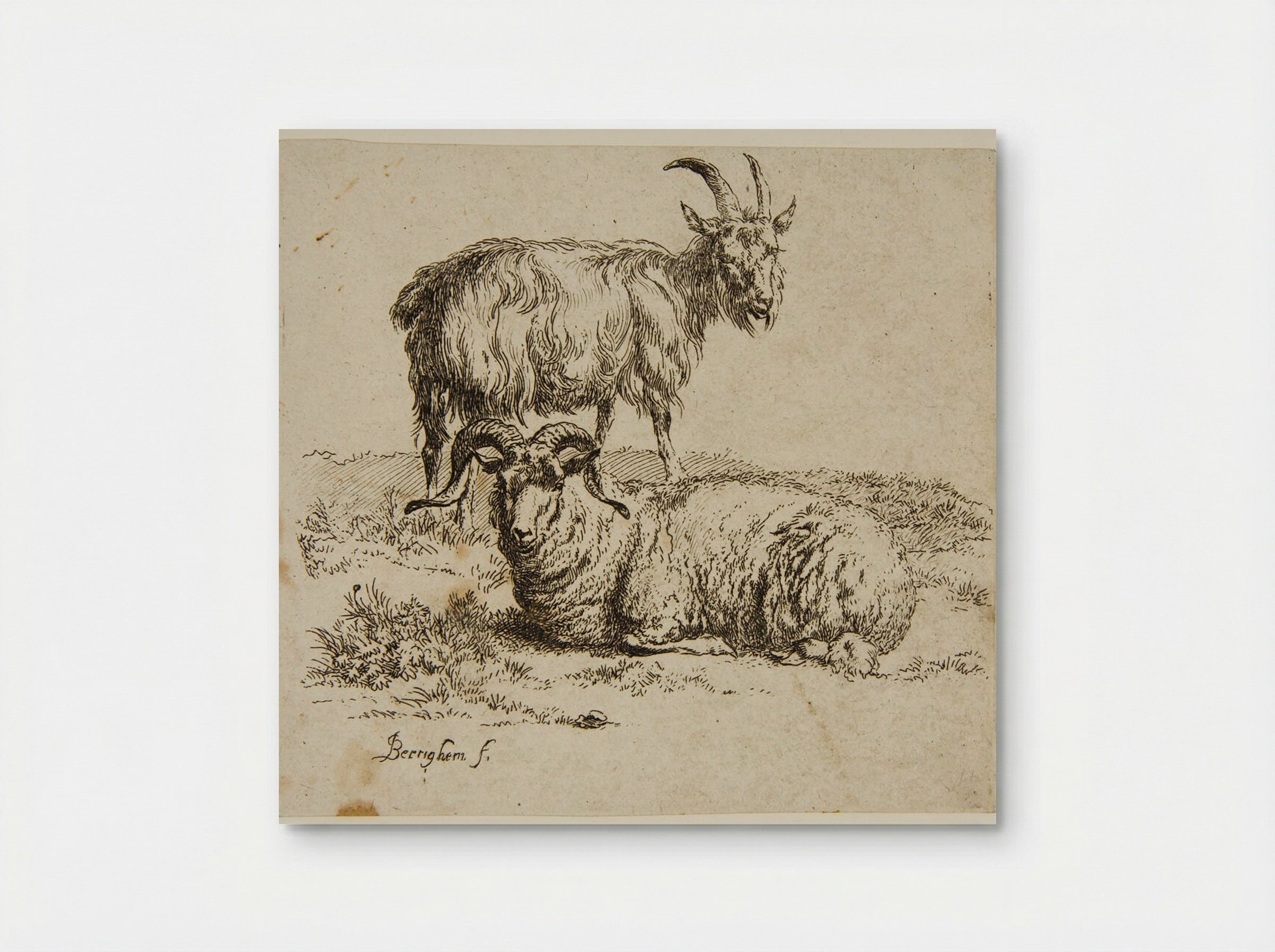 Ram and Goat - Nicolaes Berchem - Poster