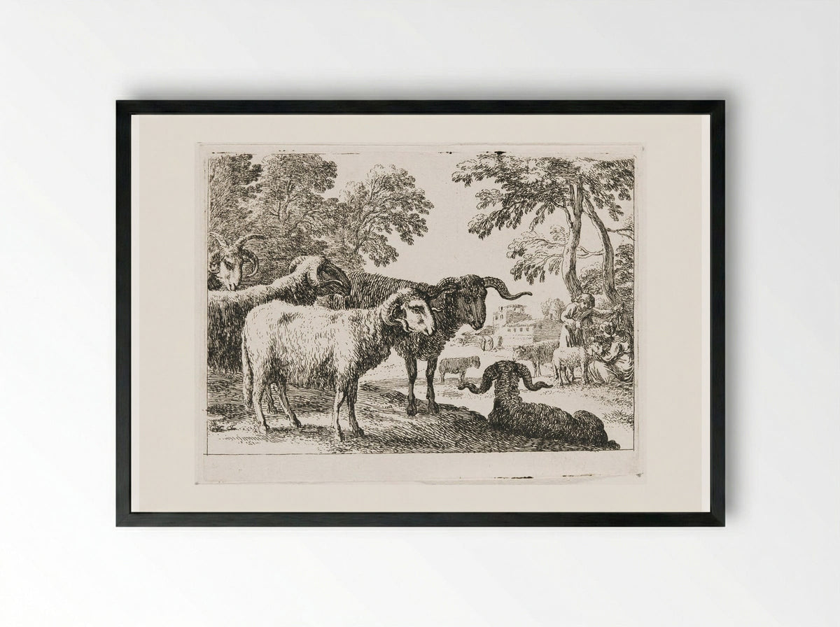 Rams - Herman van Swanevelt - Framed Print Black