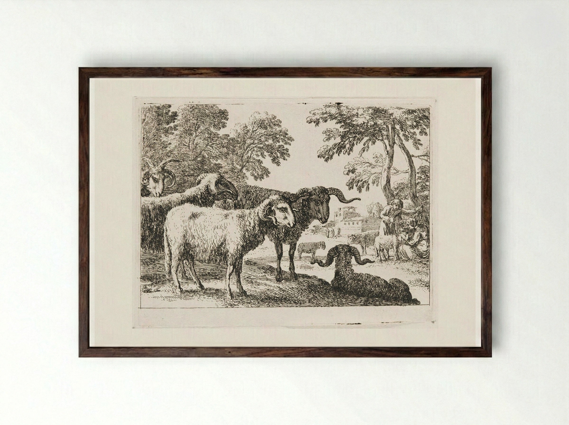 Rams - Herman van Swanevelt - Framed Print Dark Wood