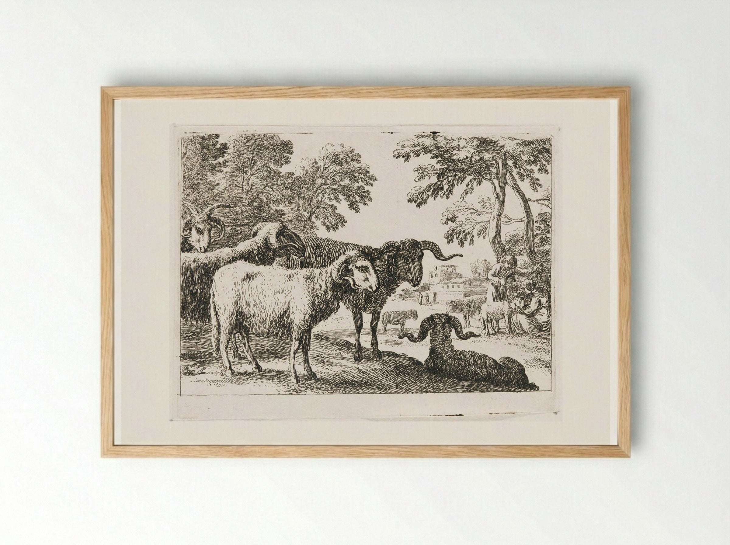 Rams - Herman van Swanevelt - Framed Print Wood