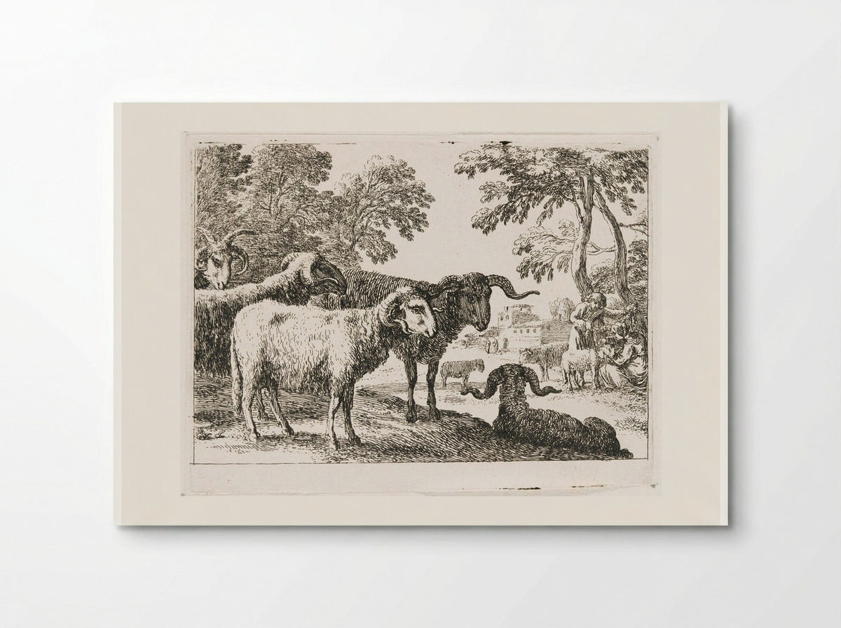Rams - Herman van Swanevelt - Poster
