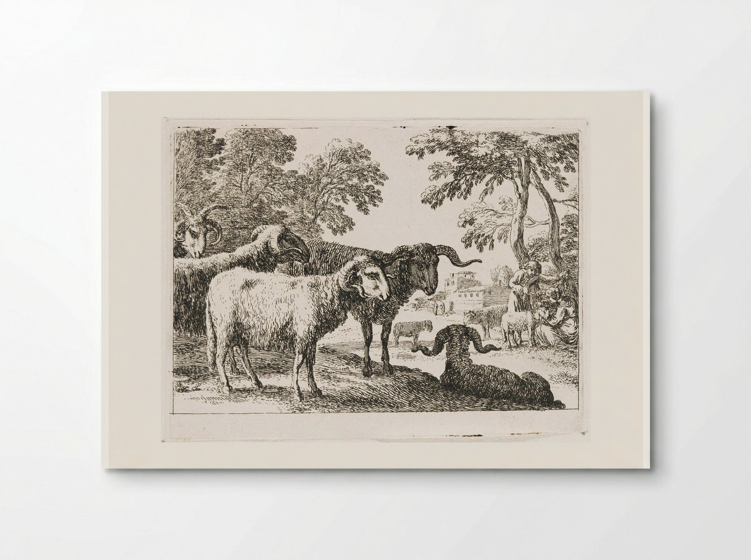 Rams - Herman van Swanevelt - Poster