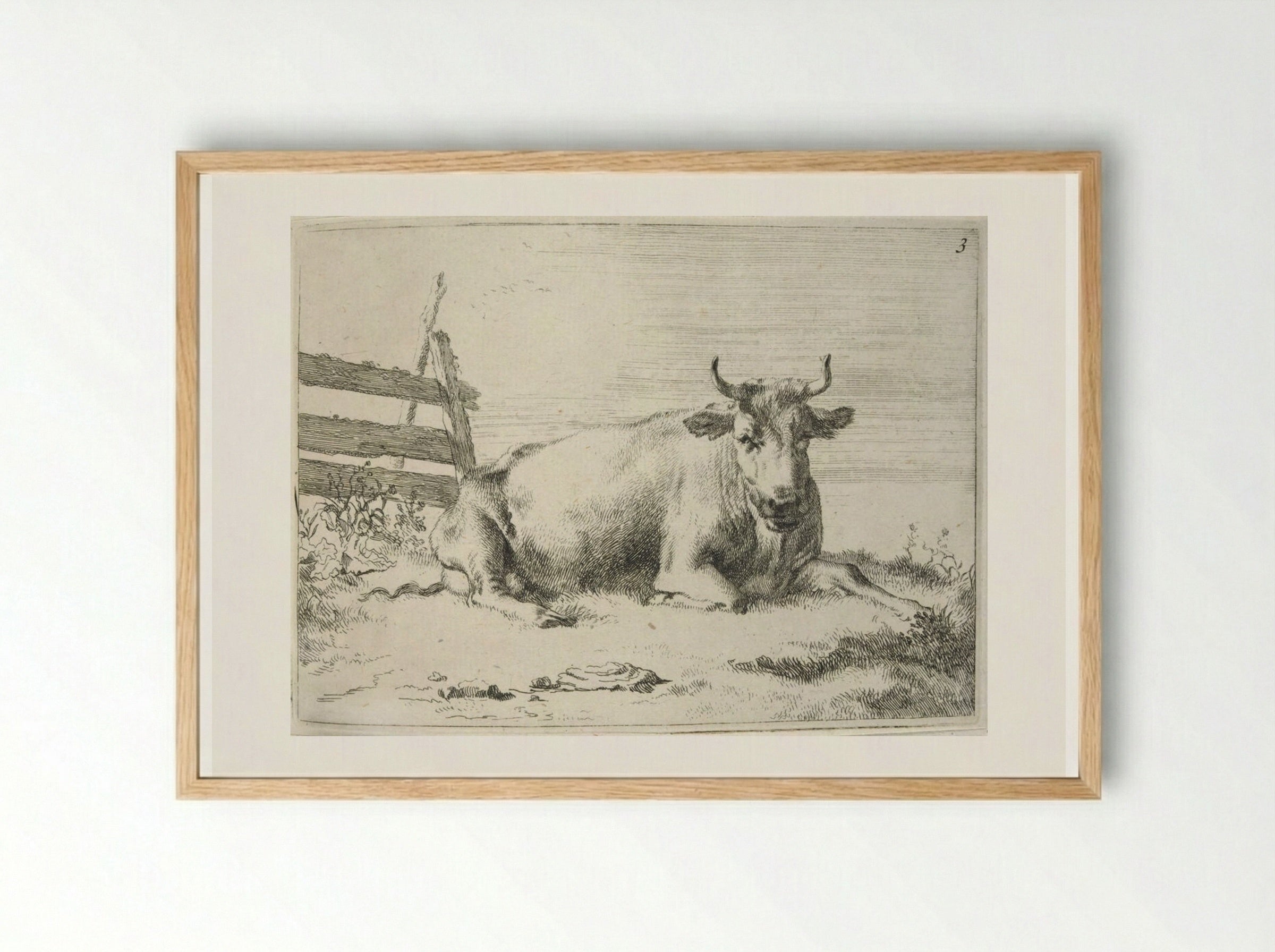 Recumbent Cow near a Fence - Johannes Visscher - Framed Print Wood