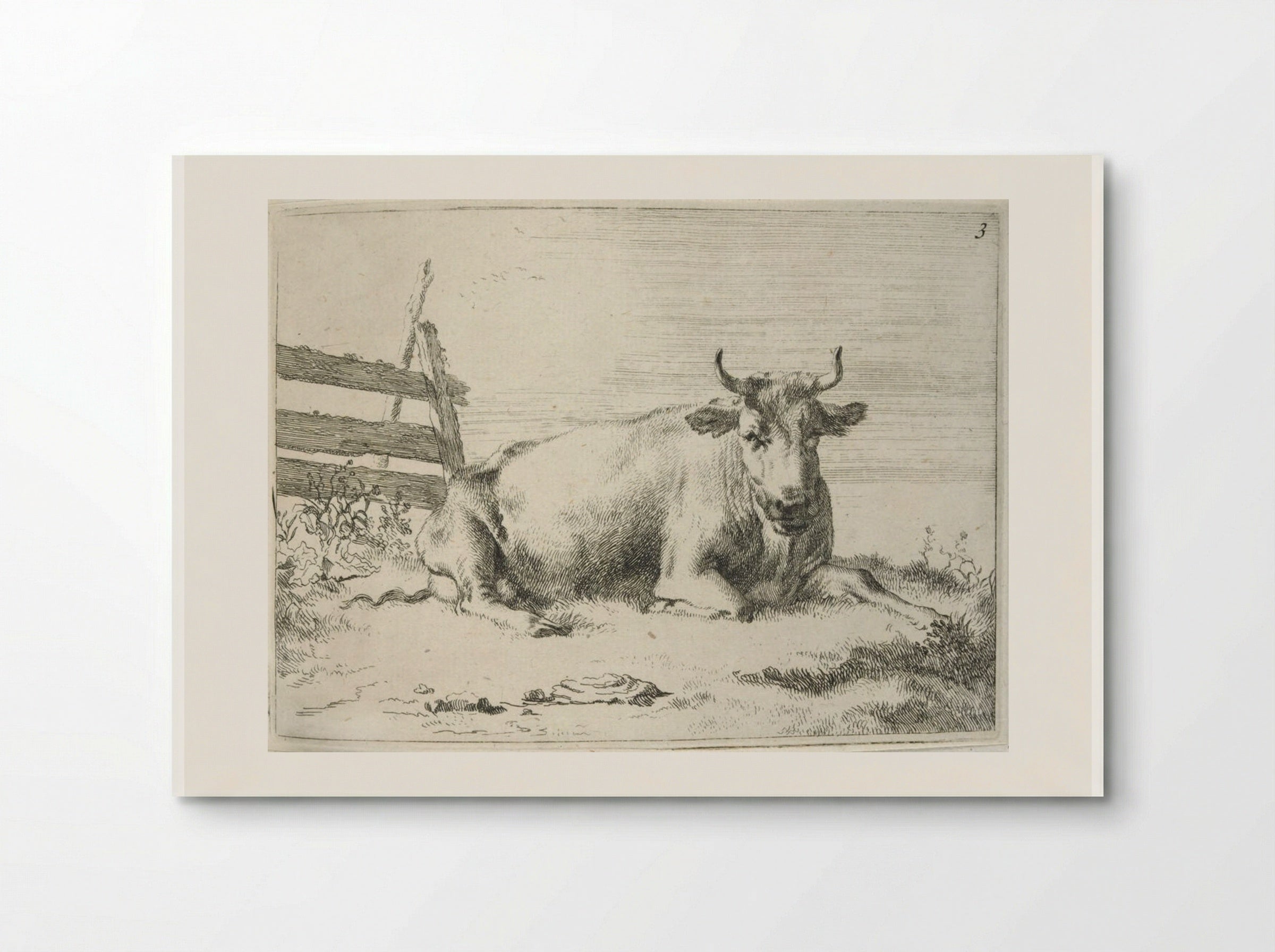 Recumbent Cow near a Fence - Johannes Visscher - Poster