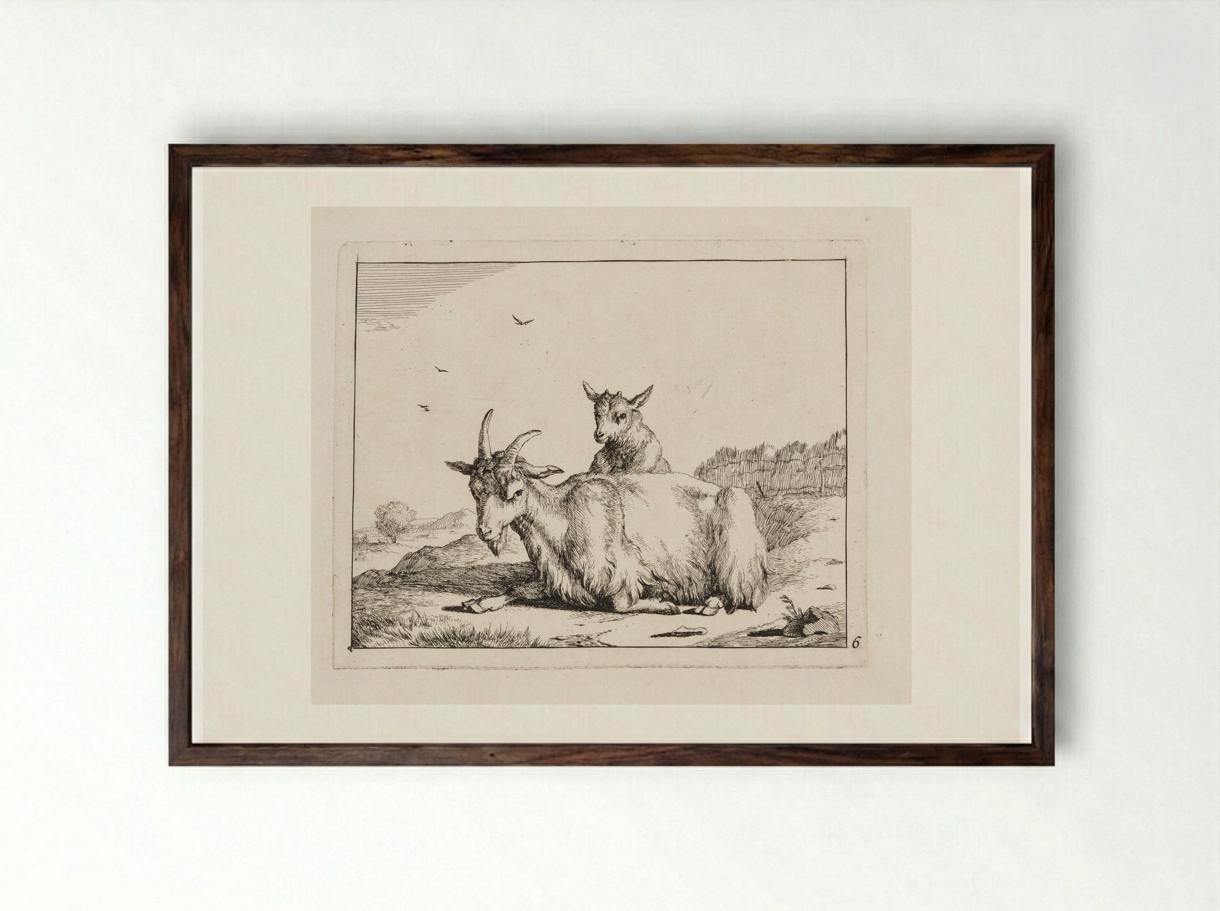 Recumbent Goat with a Kid - Marcus de Bye - Framed Print Dark Wood