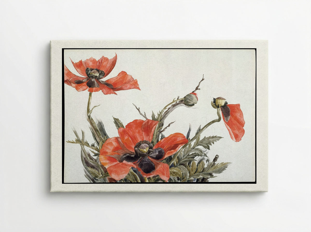Red Poppies - Charles Demuth - Canvas