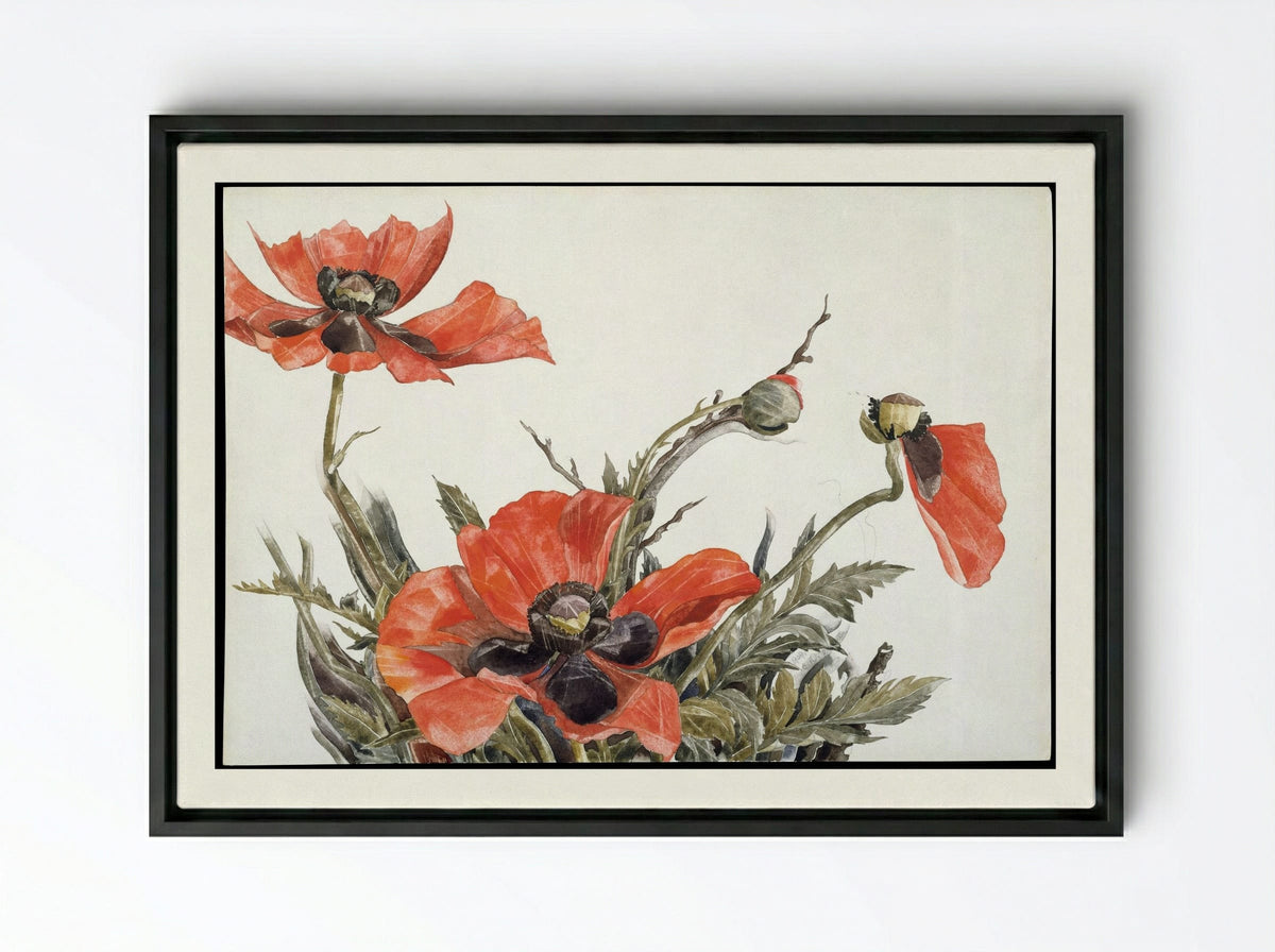 Red Poppies - Charles Demuth - Framed Canvas Black