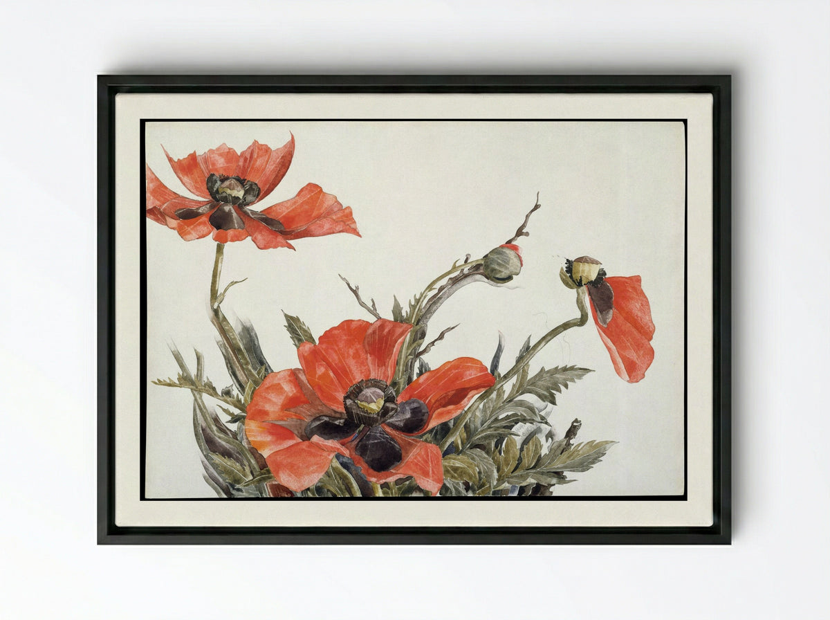 Red Poppies - Charles Demuth - Framed Canvas Black