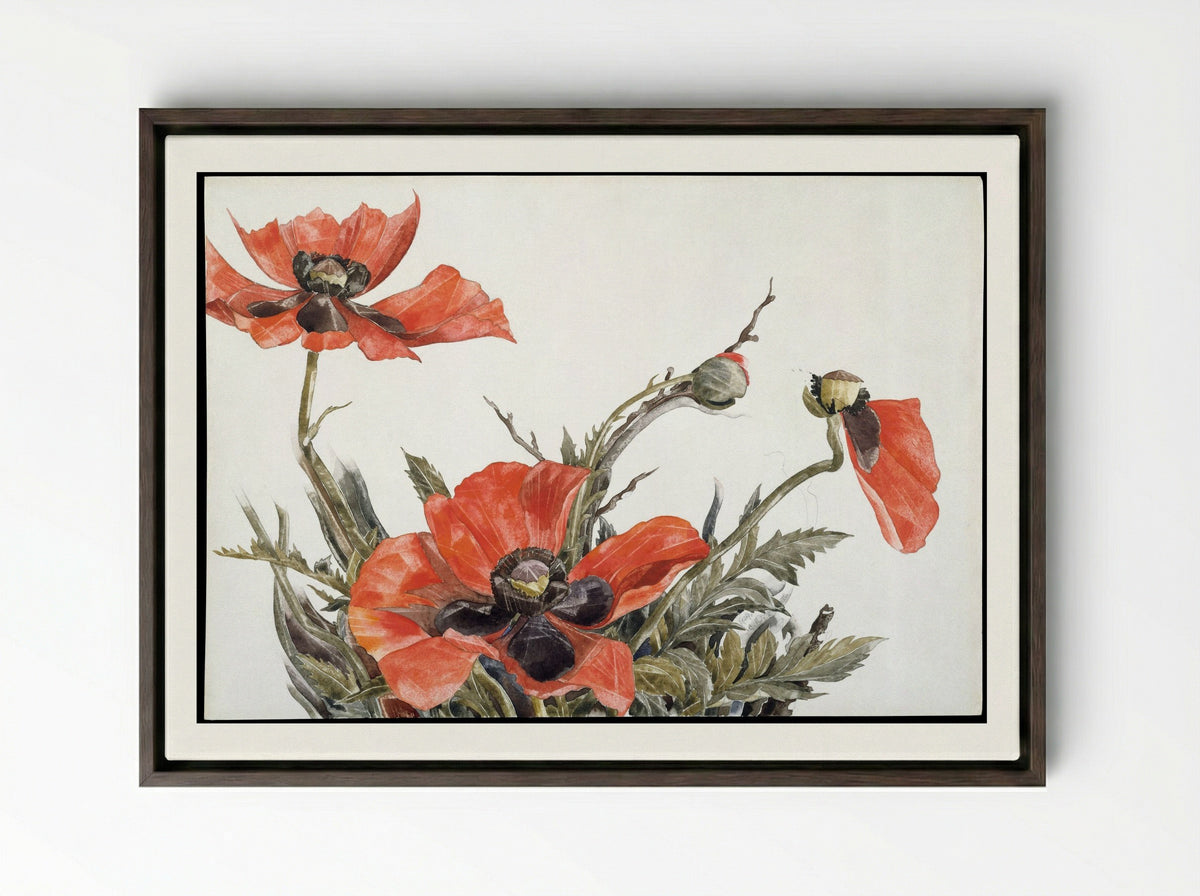 Red Poppies - Charles Demuth - Framed Canvas Dark Wood