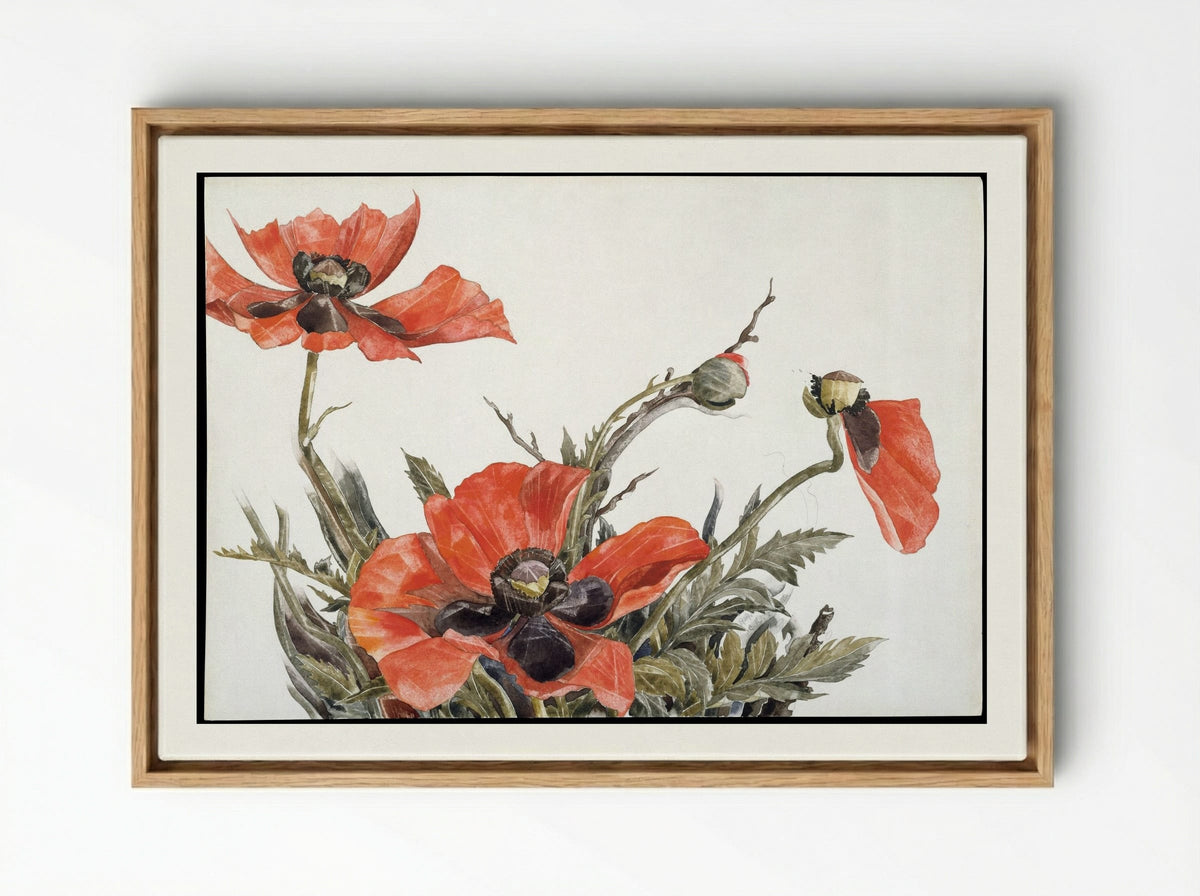 Red Poppies - Charles Demuth - Framed Canvas Wood
