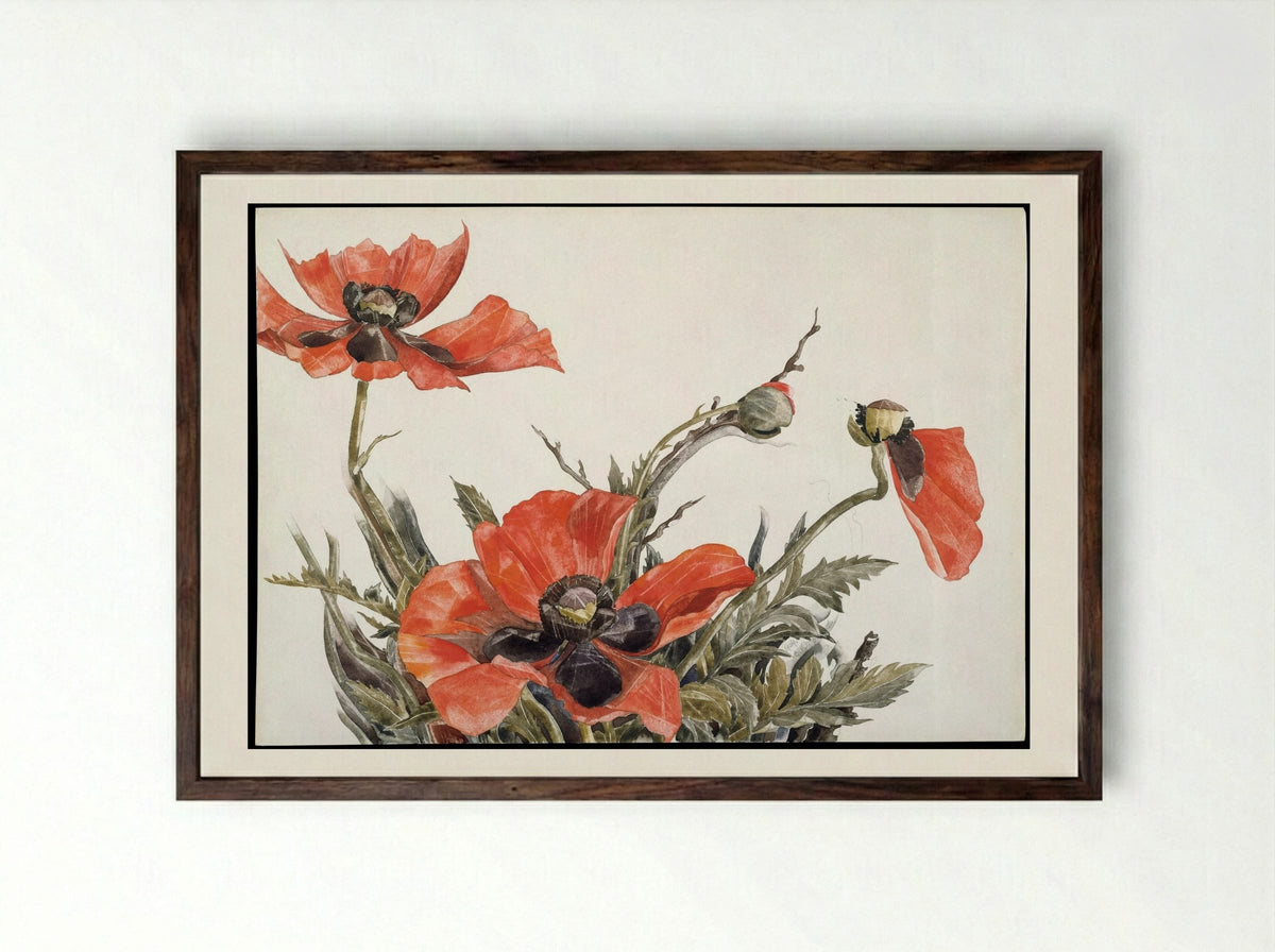 Red Poppies - Charles Demuth - Framed Print Dark Wood