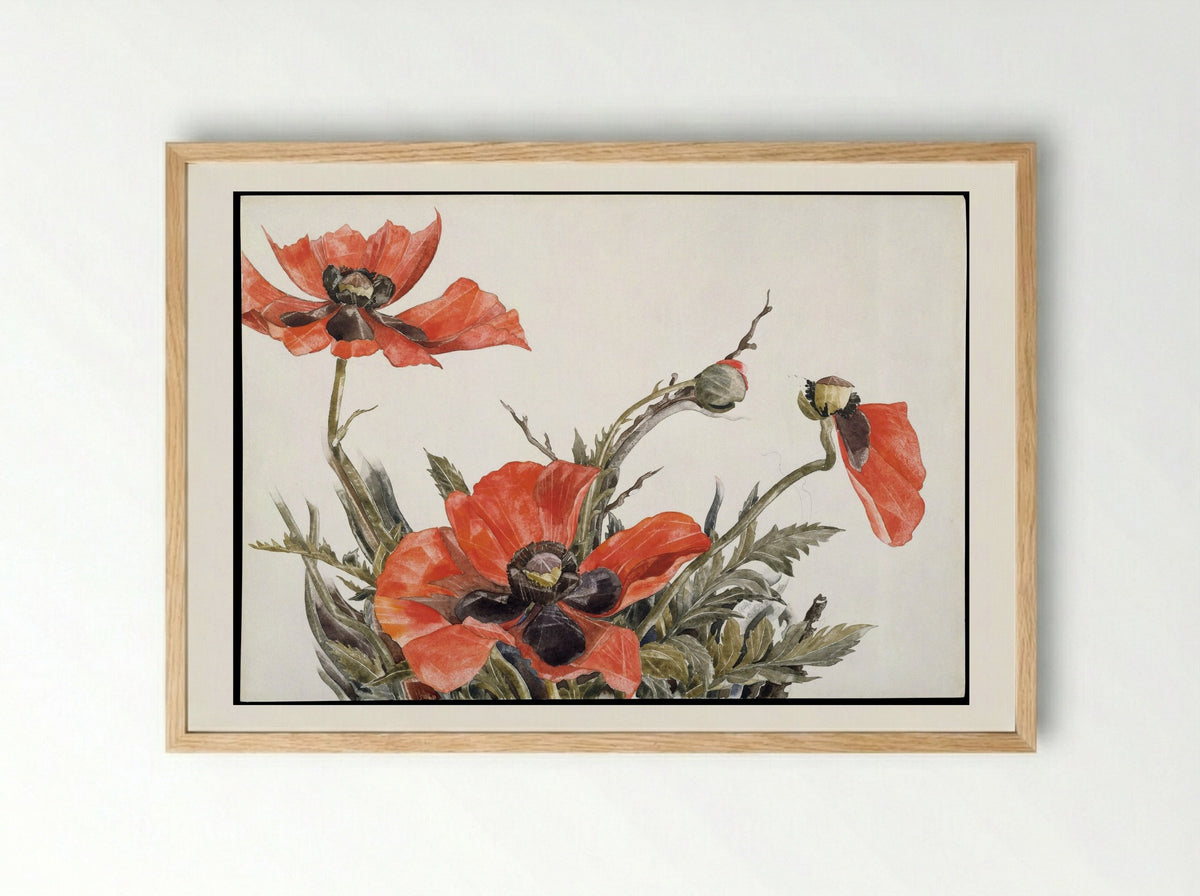 Red Poppies - Charles Demuth - Framed Print Wood