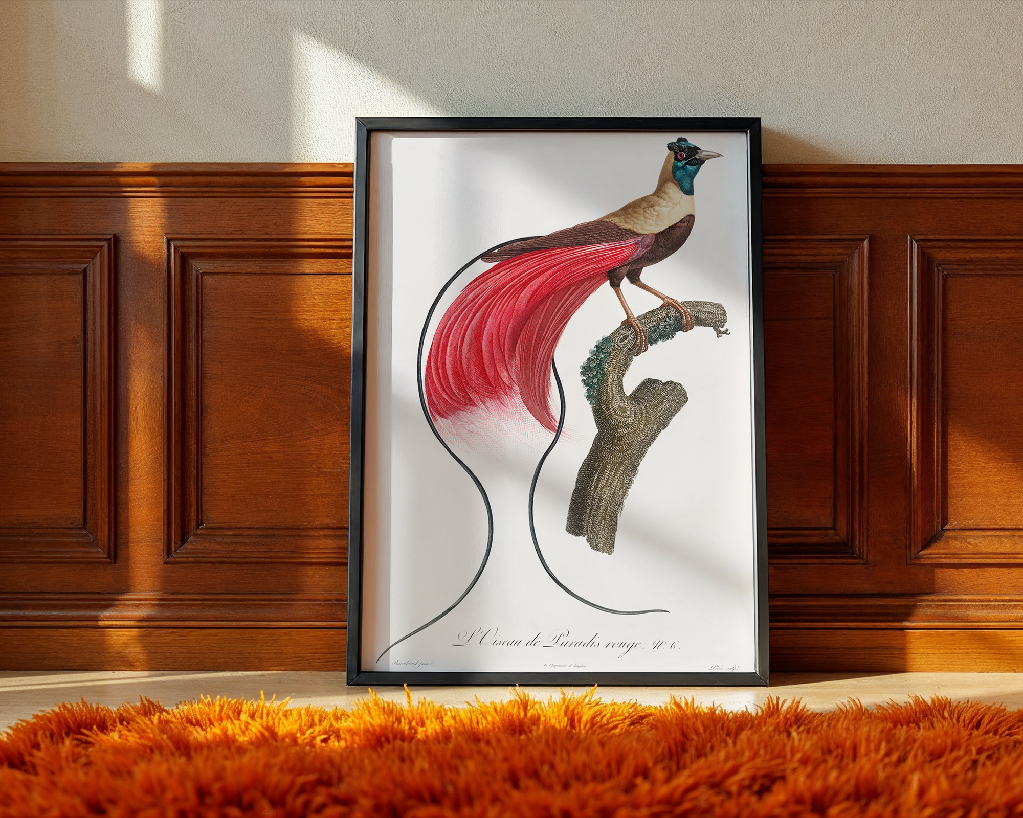 Red-bird-of-paradise-from-Histoire-Naturelle-des-Oiseaux-de-Paradis-et-Des-Rolliers-(1806)-by-Jacques-Barraband_final mockup