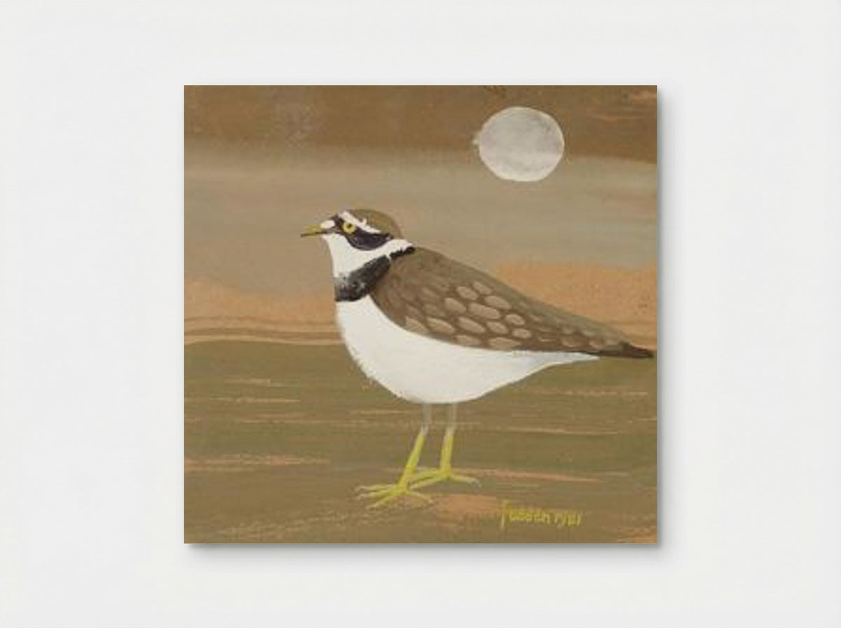 Ringed Plover - Mary Fedden - Poster