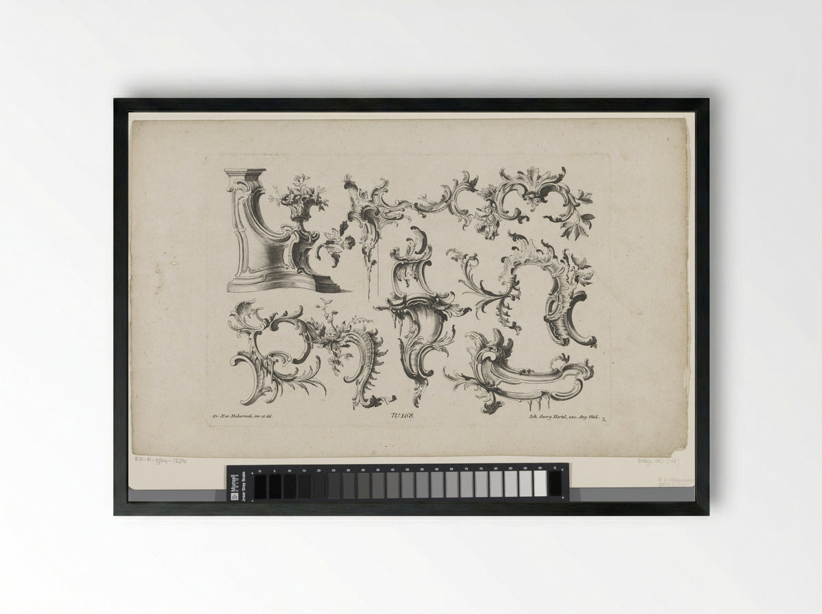 Rocailles (Ornamental Design) - Georg Leopold Hertel - Framed Print Black