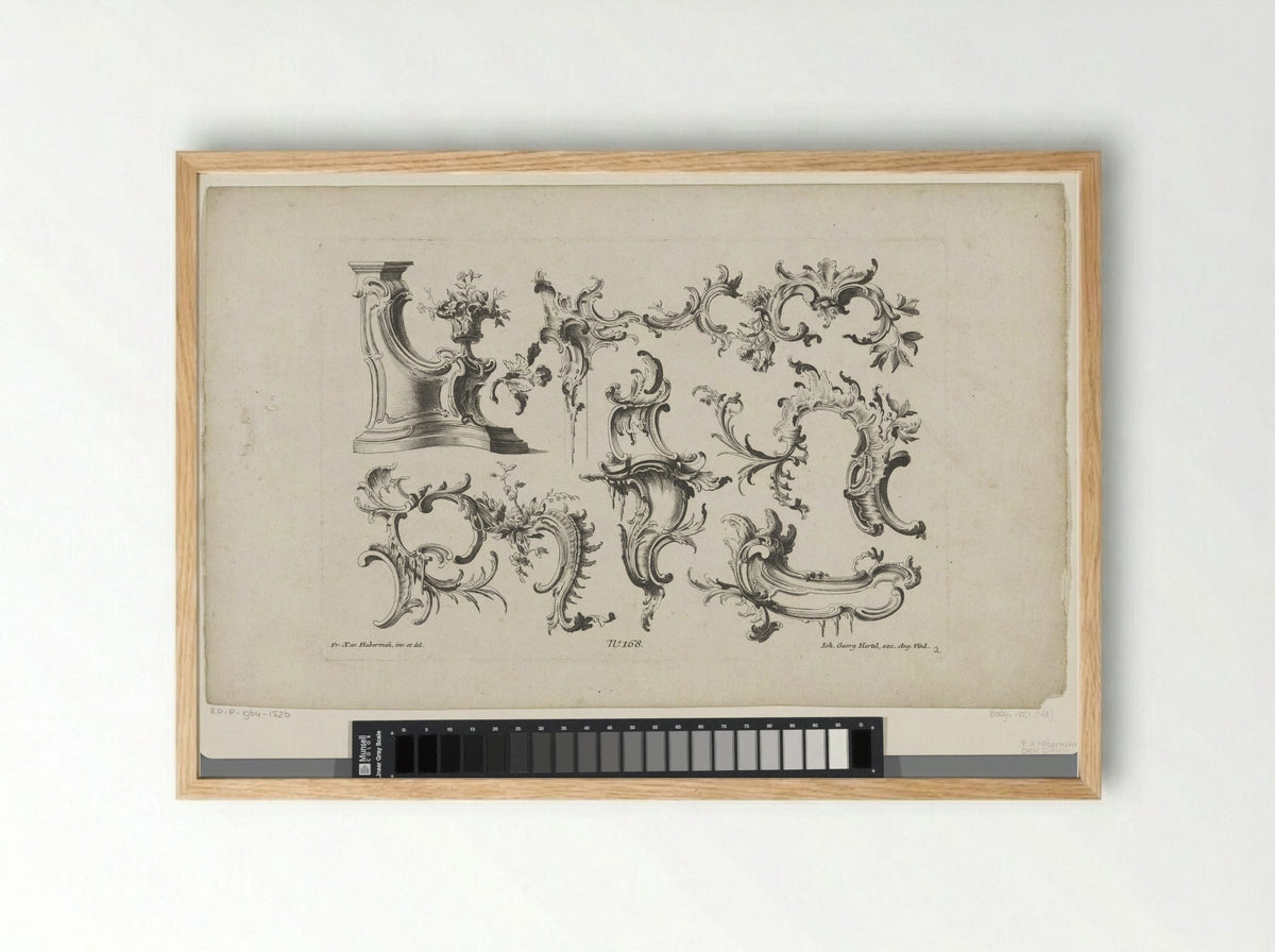 Rocailles (Ornamental Design) - Georg Leopold Hertel - Framed Print Wood